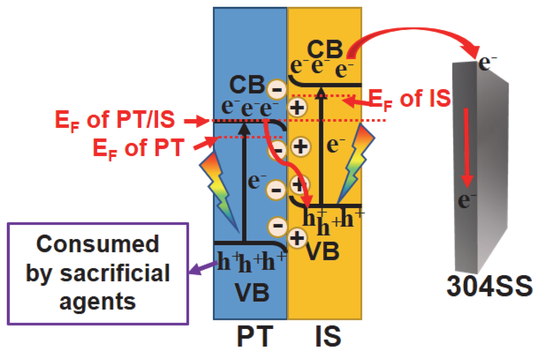 Molecules 28 06554 g009