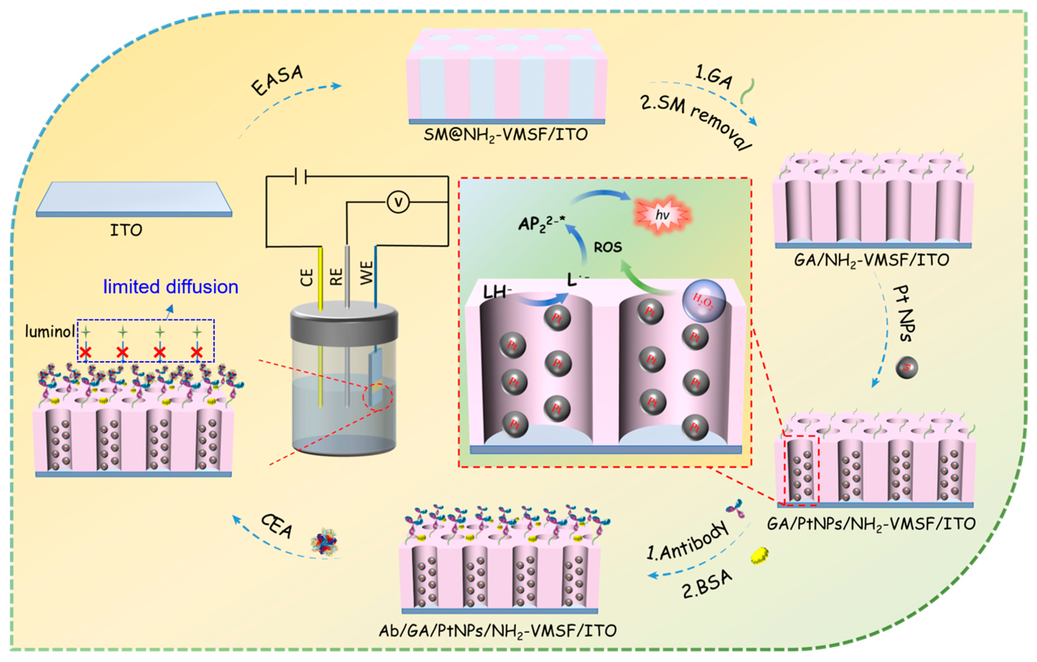 Molecules 28 06559 g001