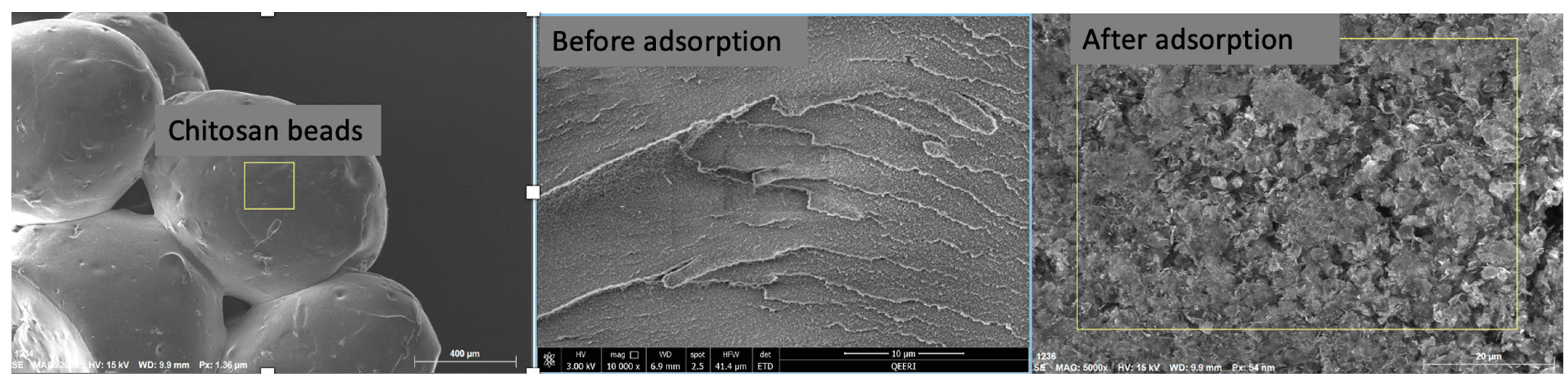 Molecules 28 06561 g001