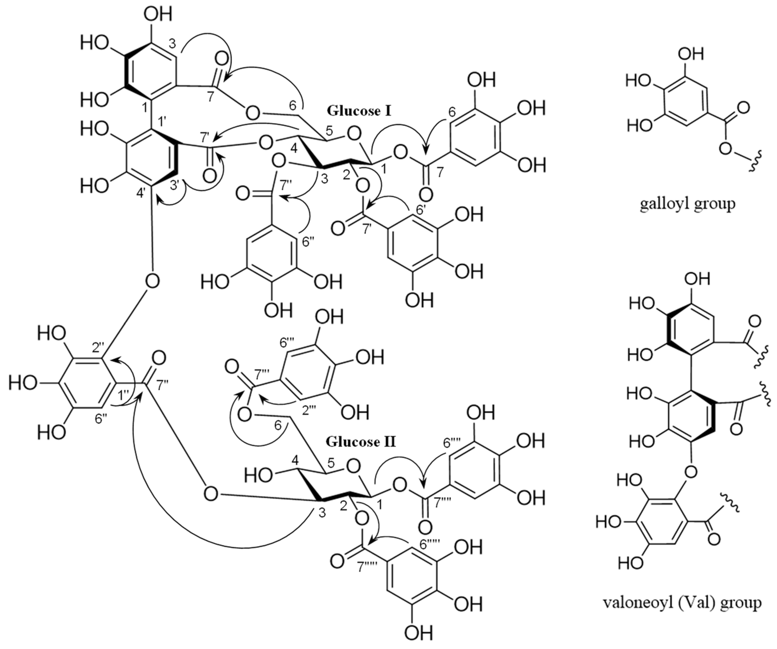 Molecules 28 06563 g002