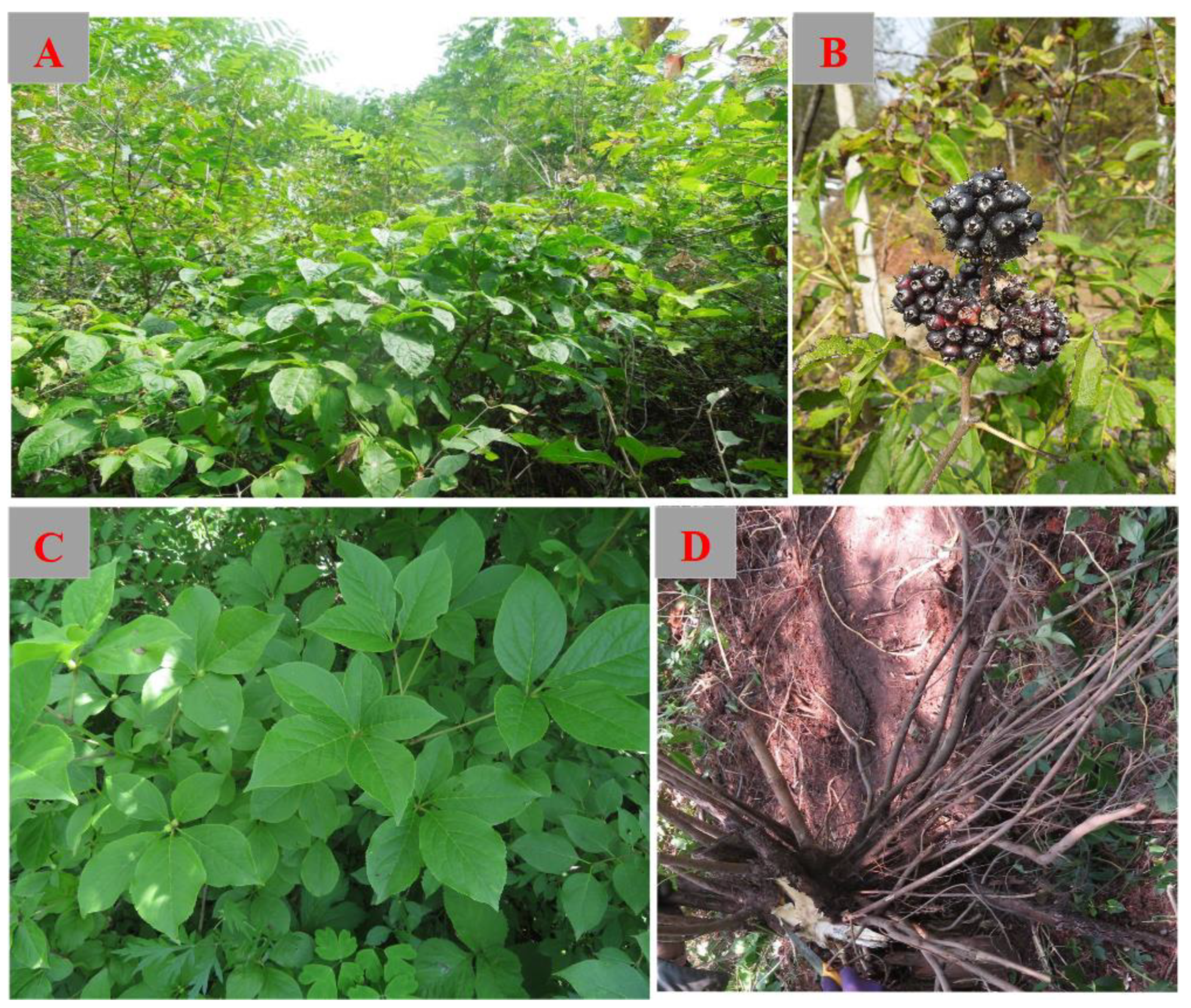 Molecules 28 06564 g001