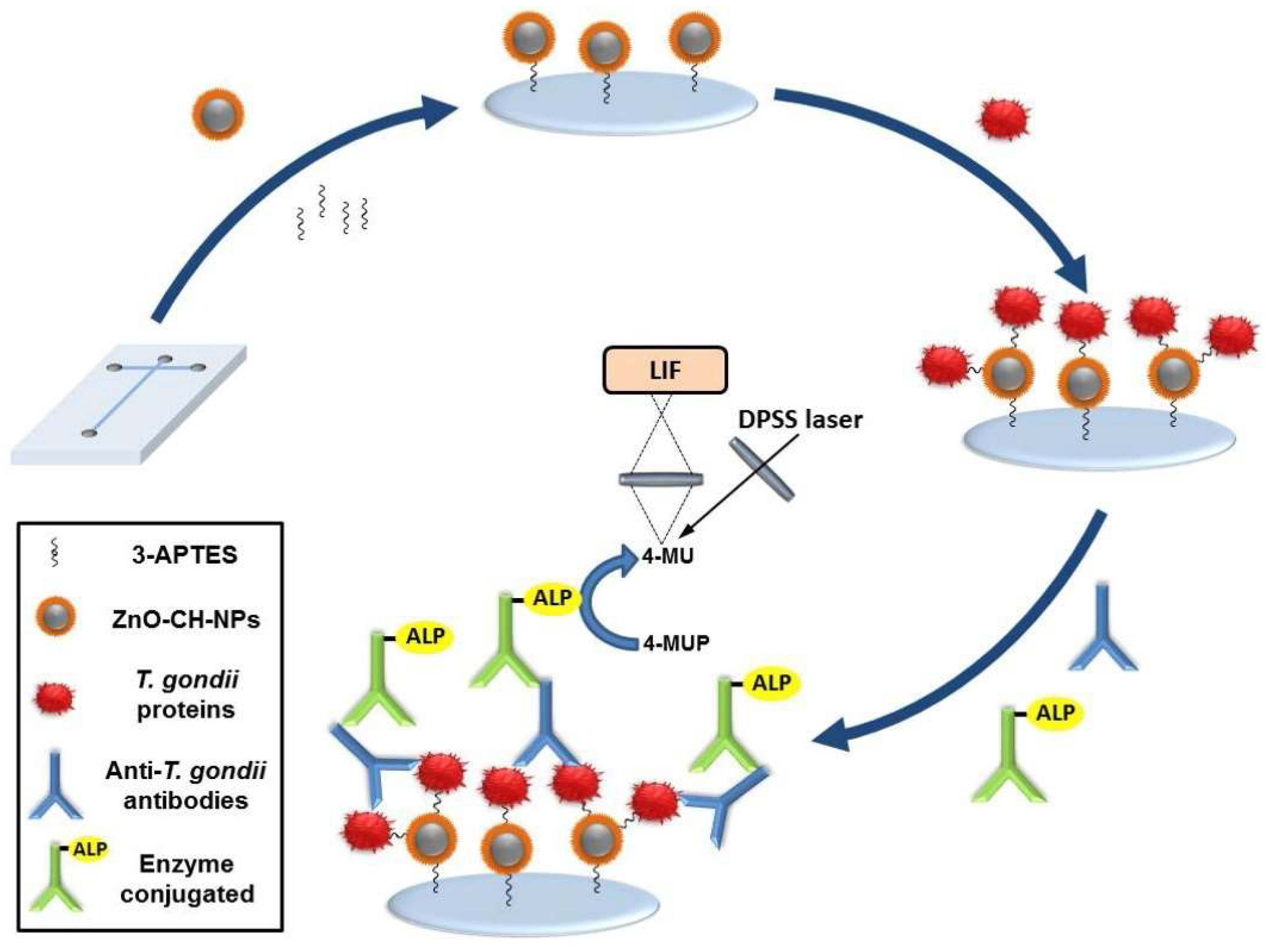 Molecules 28 06565 g001
