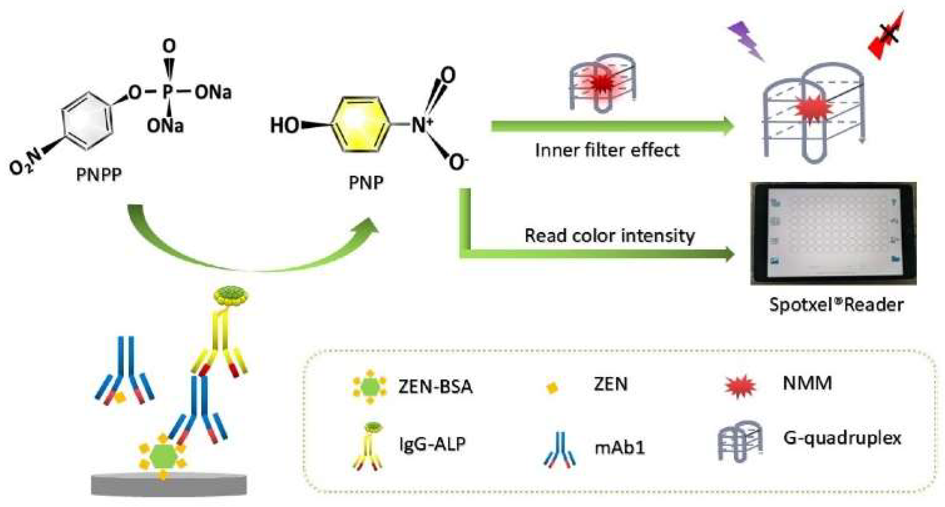 Molecules 28 06565 g002