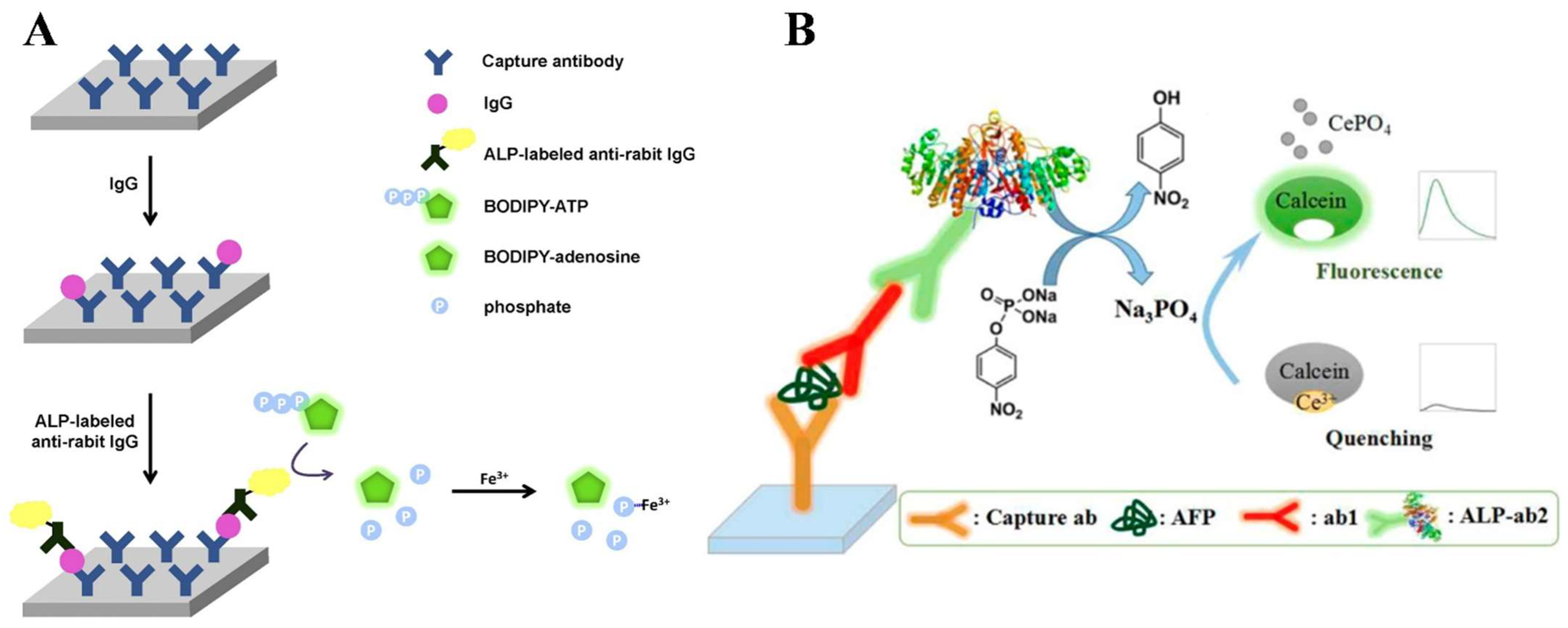 Molecules 28 06565 g004