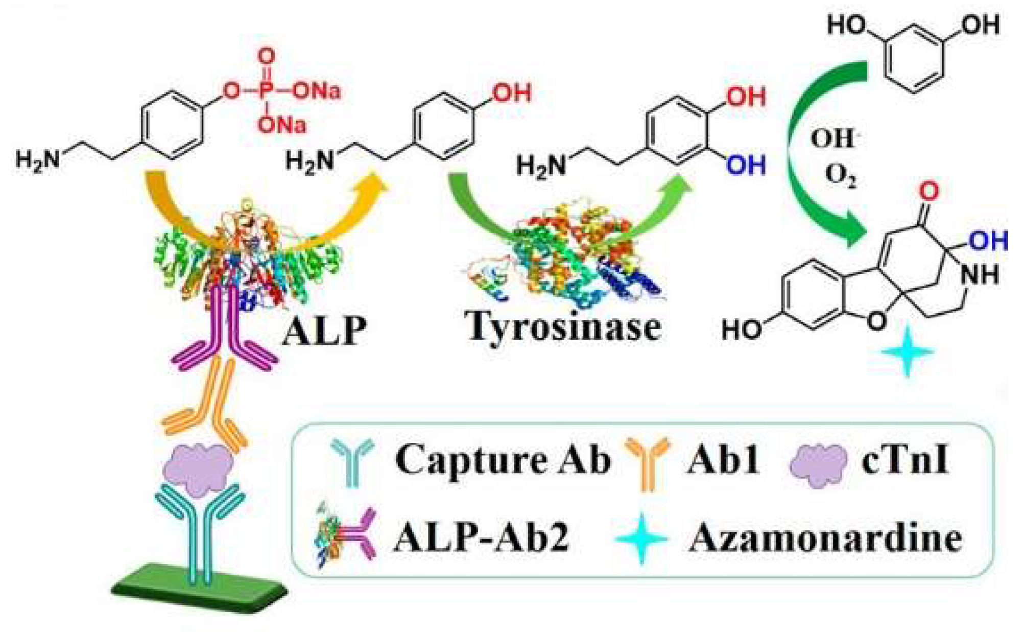 Molecules 28 06565 g005