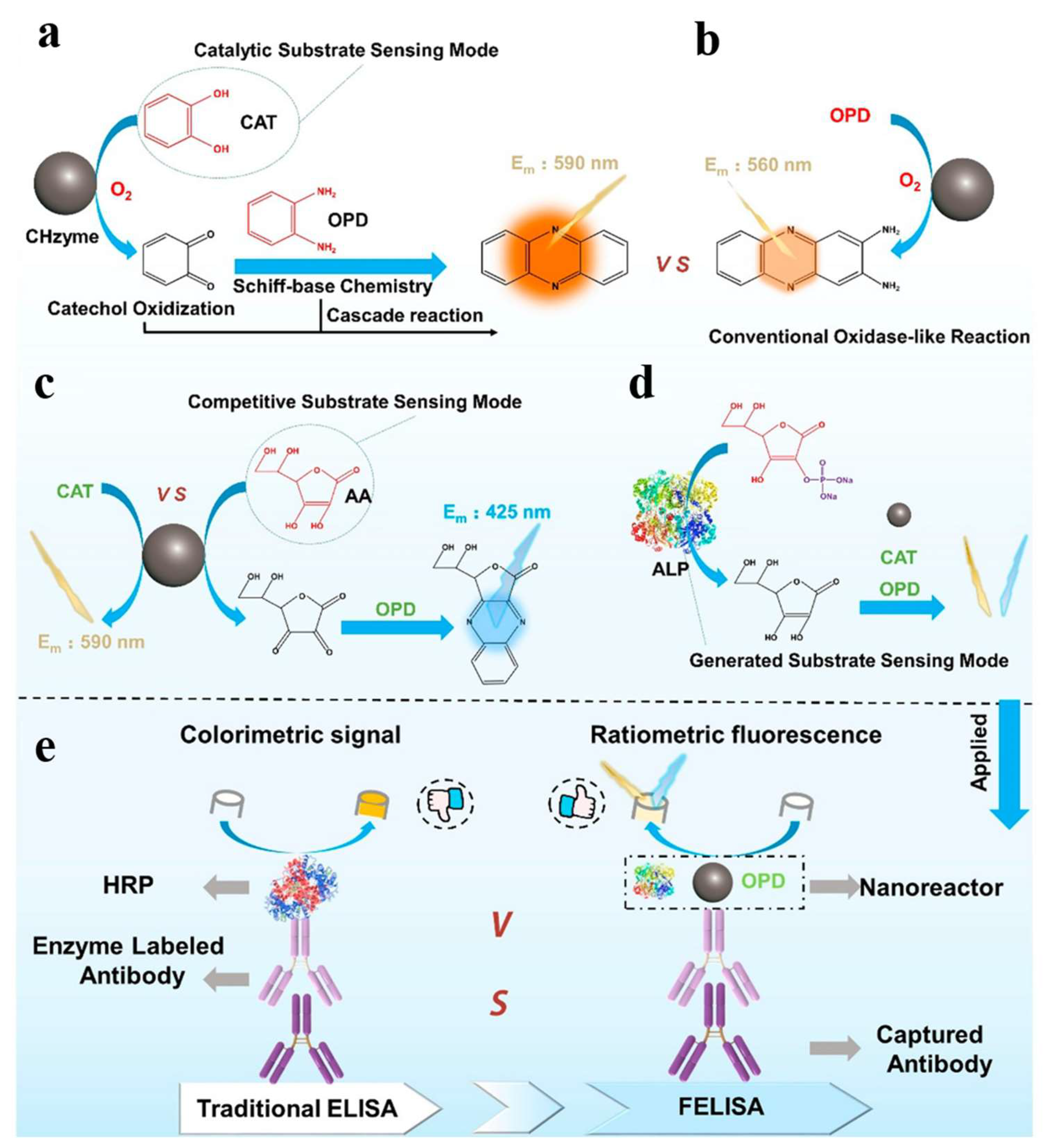 Molecules 28 06565 g006