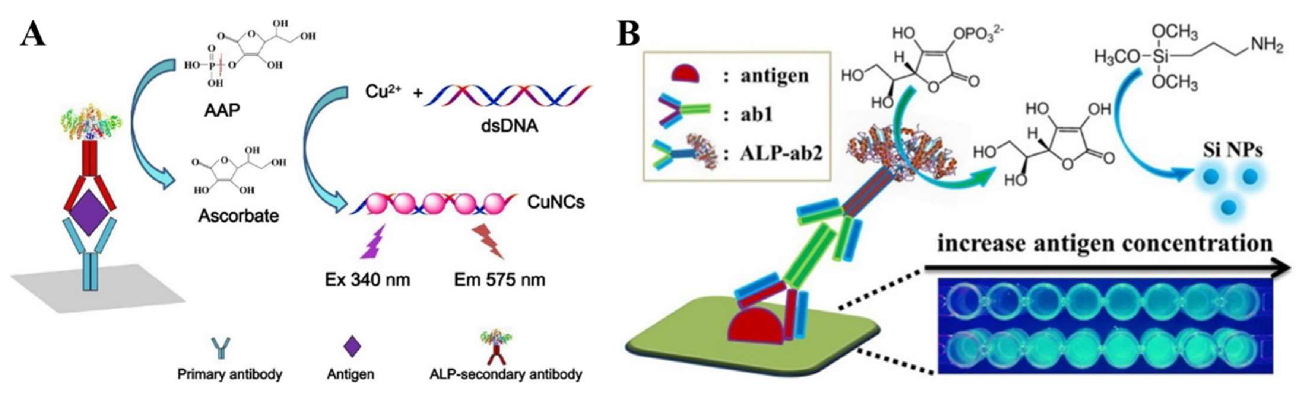Molecules 28 06565 g011