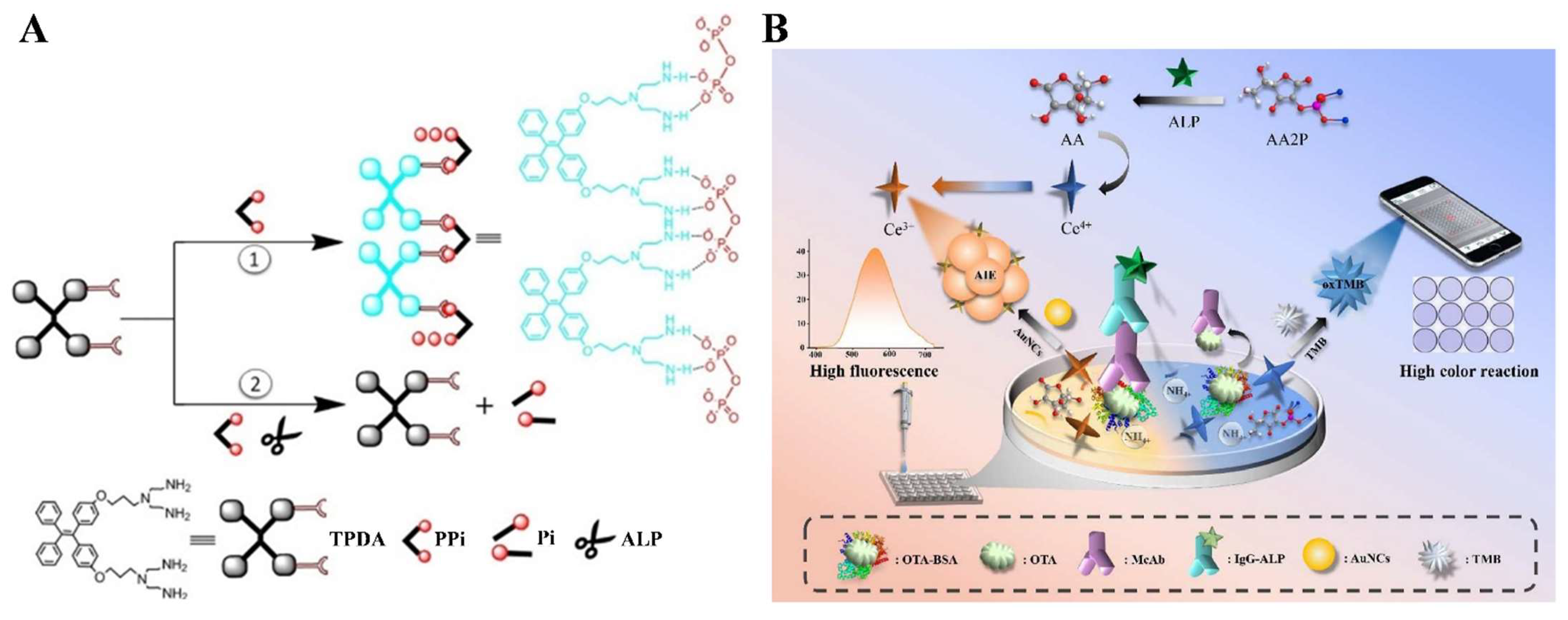 Molecules 28 06565 g013