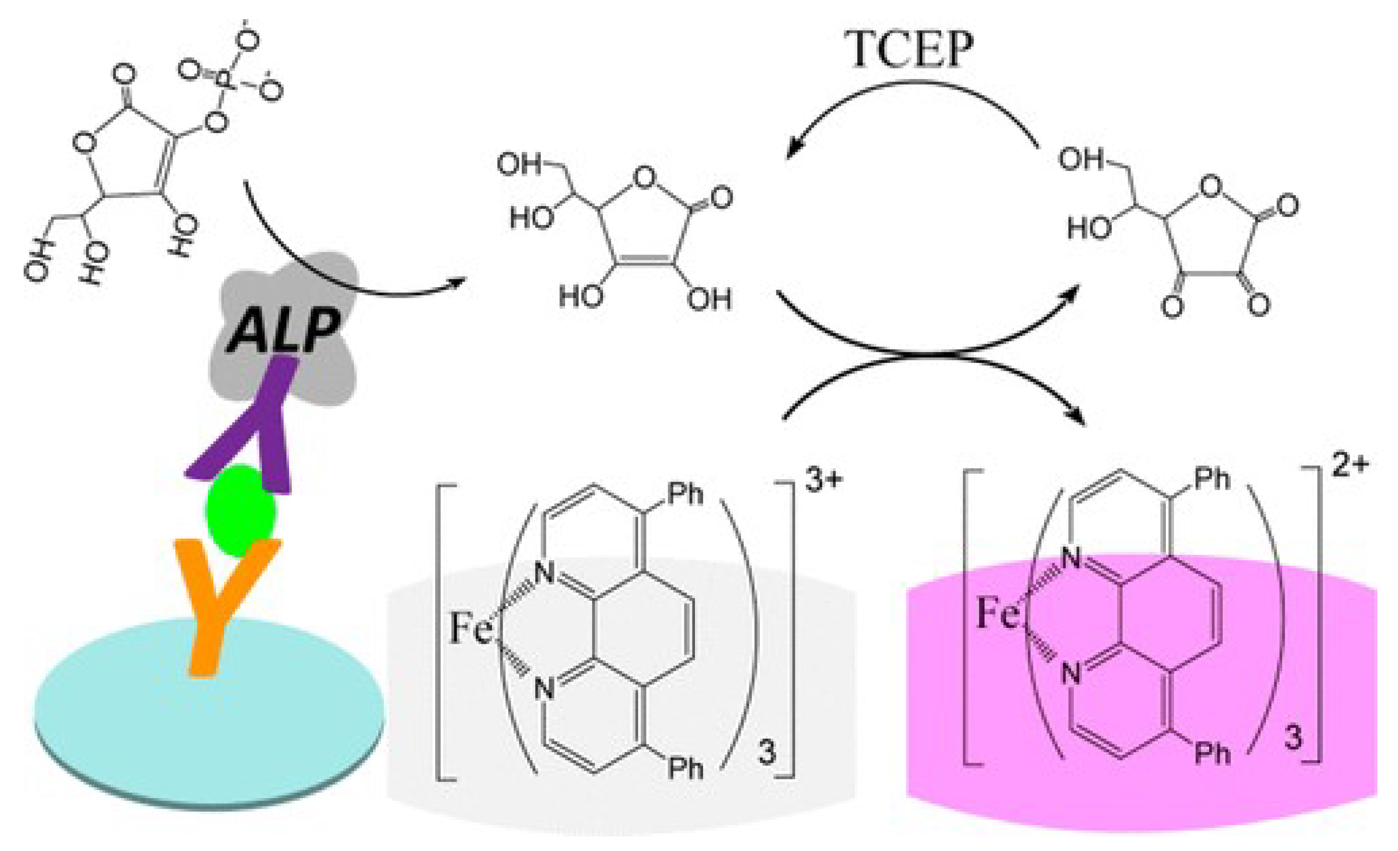 Molecules 28 06565 g015