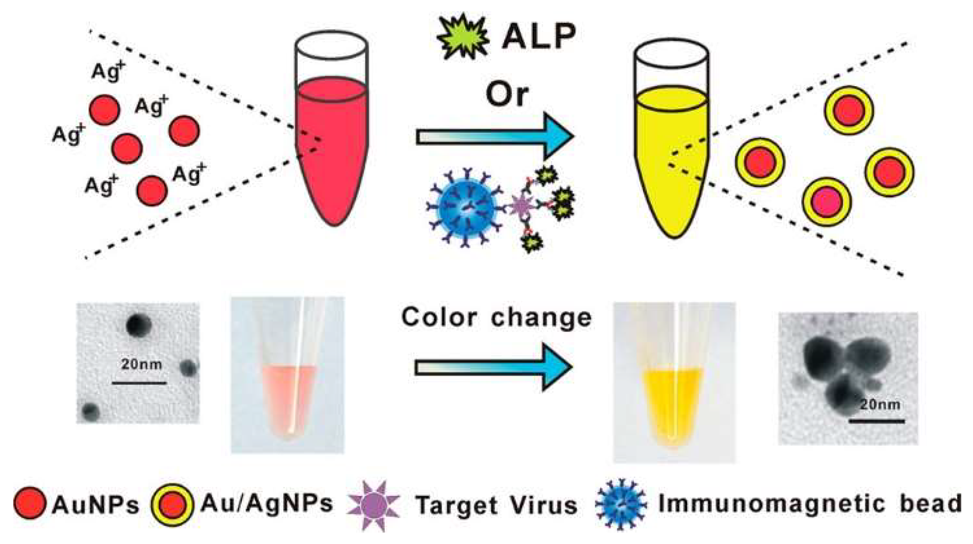 Molecules 28 06565 g019