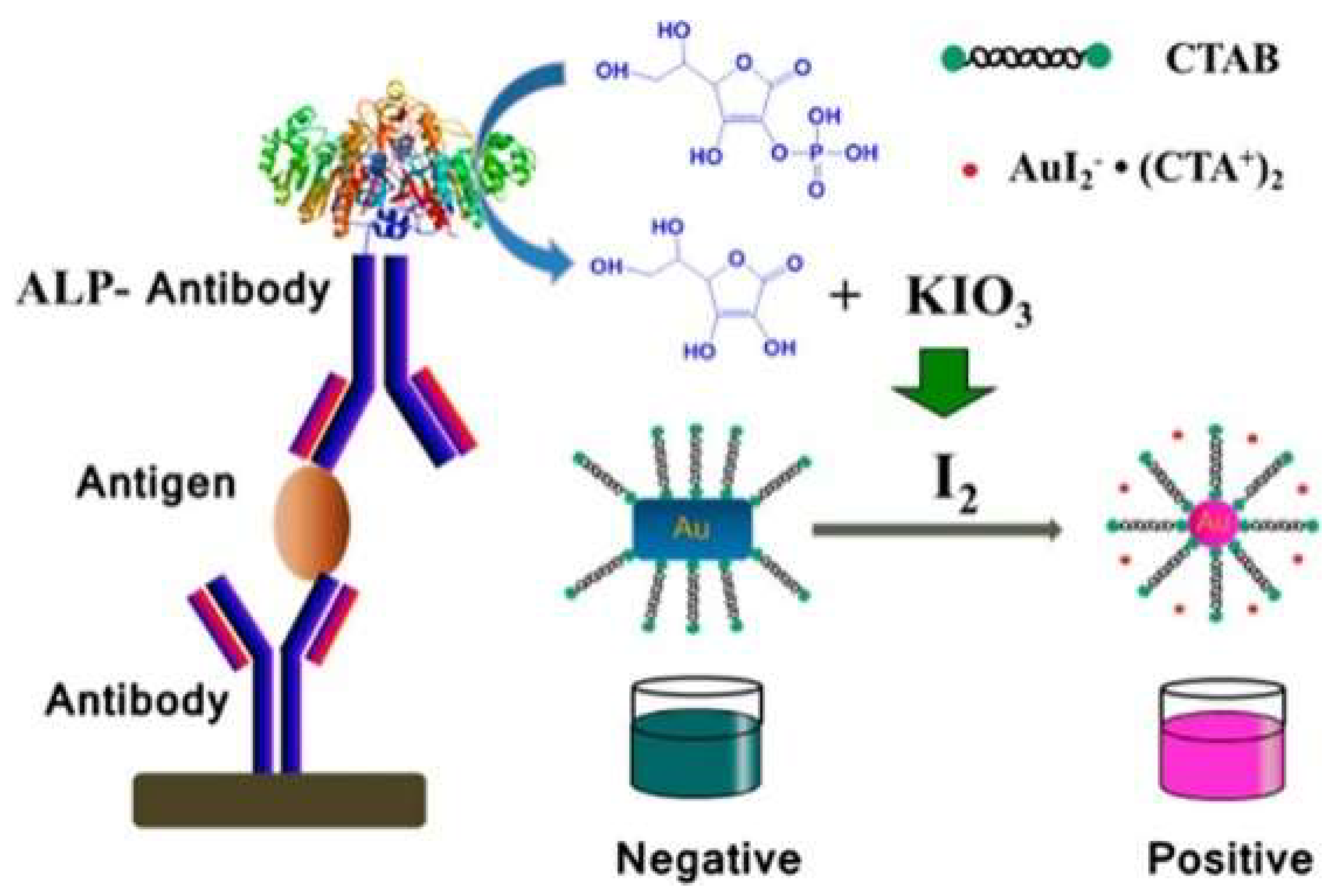 Molecules 28 06565 g021