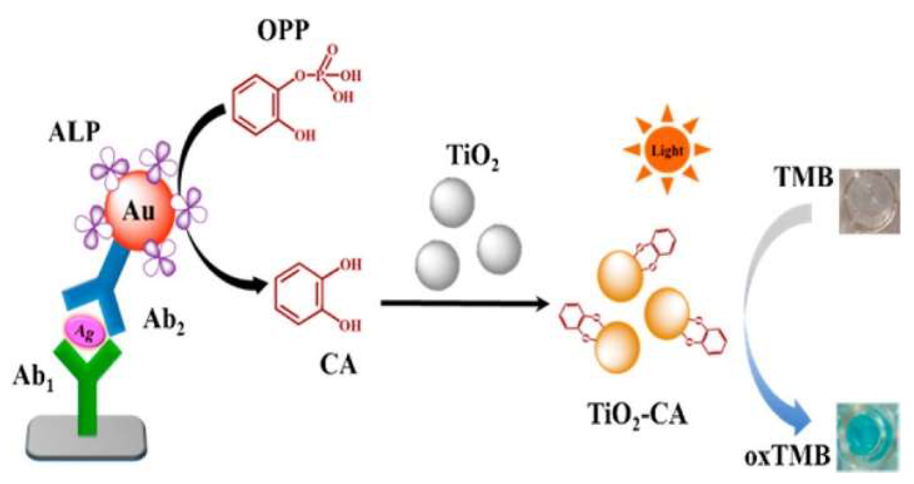 Molecules 28 06565 g023