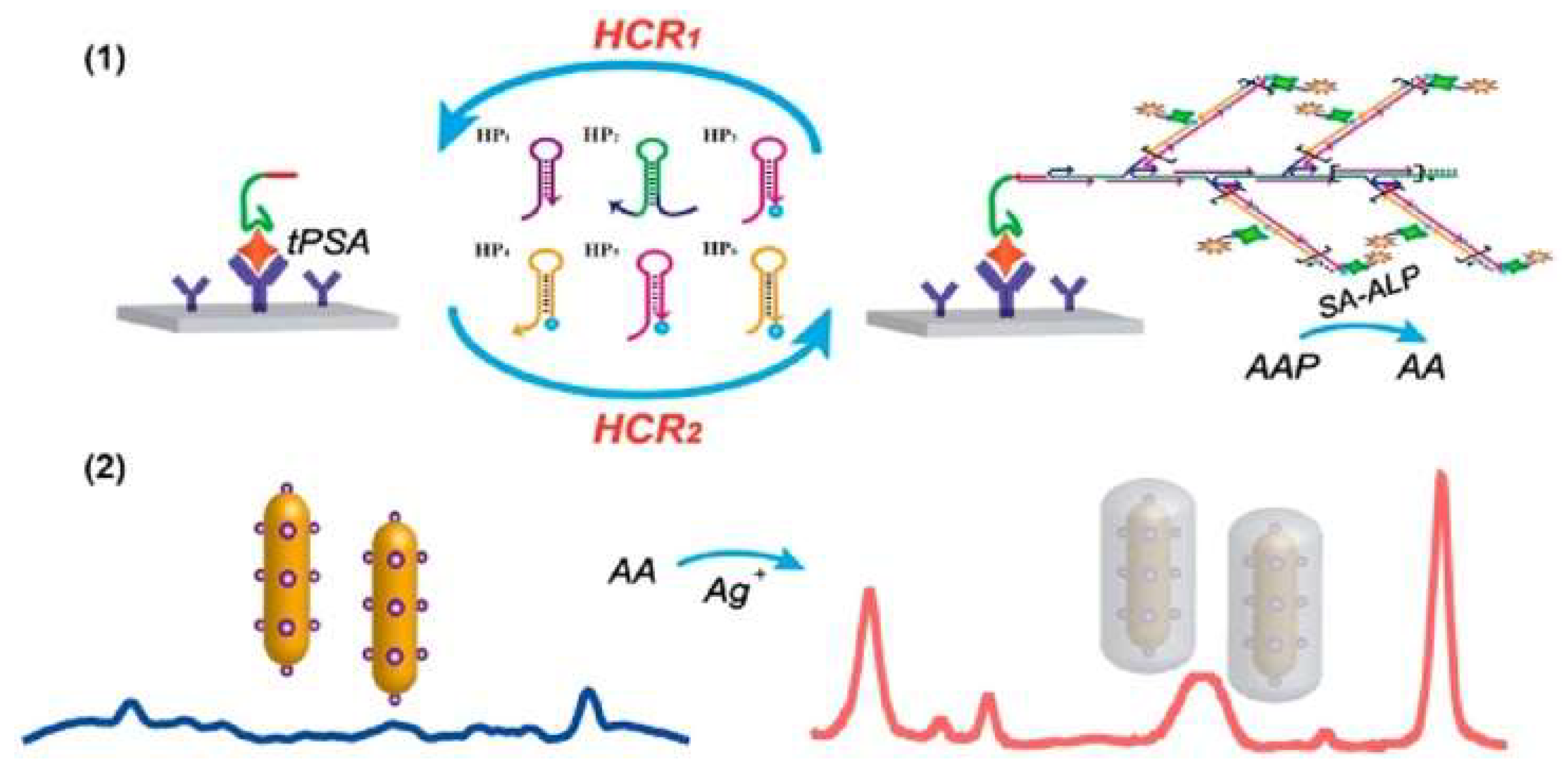 Molecules 28 06565 g025