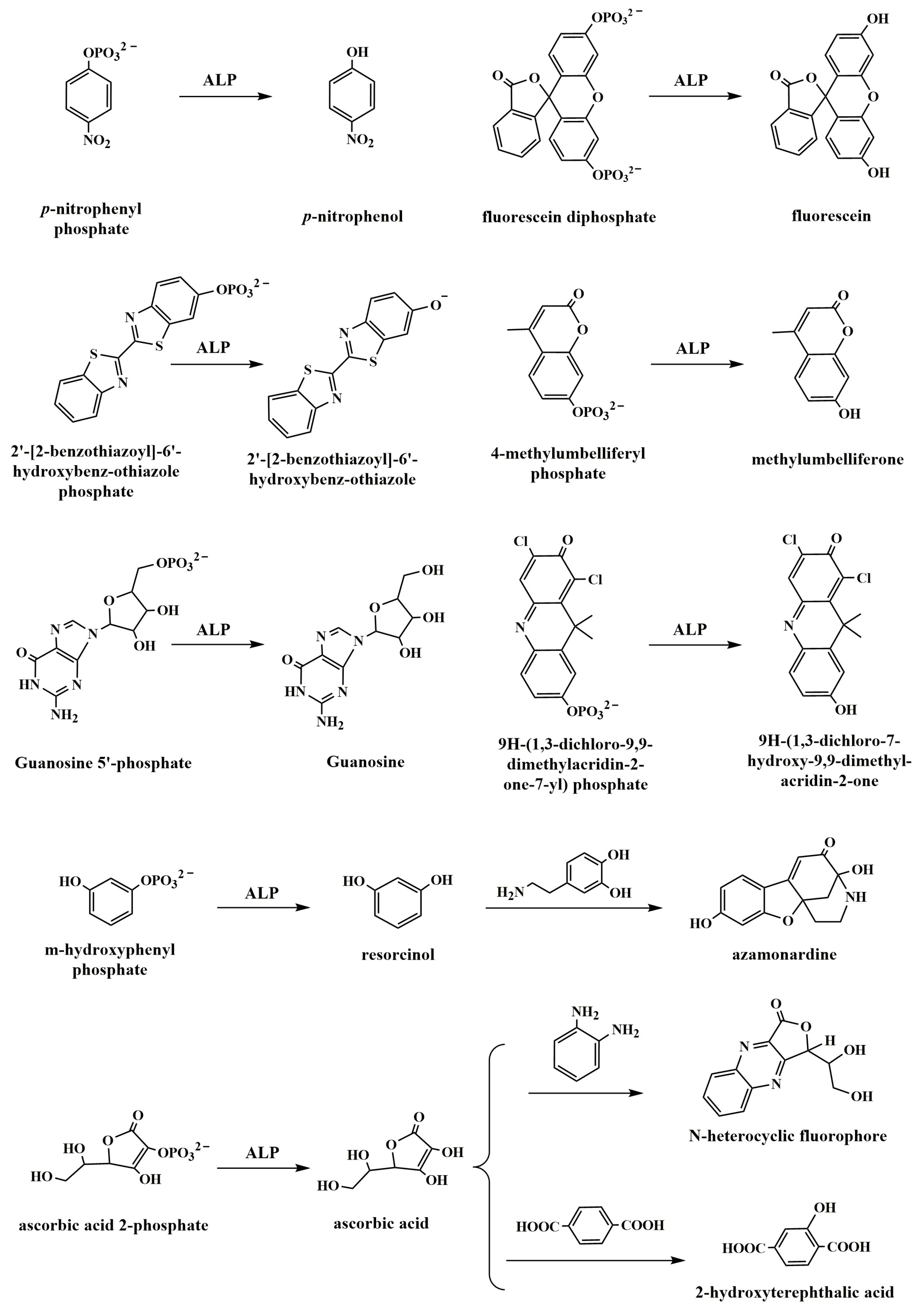 Molecules 28 06565 sch002