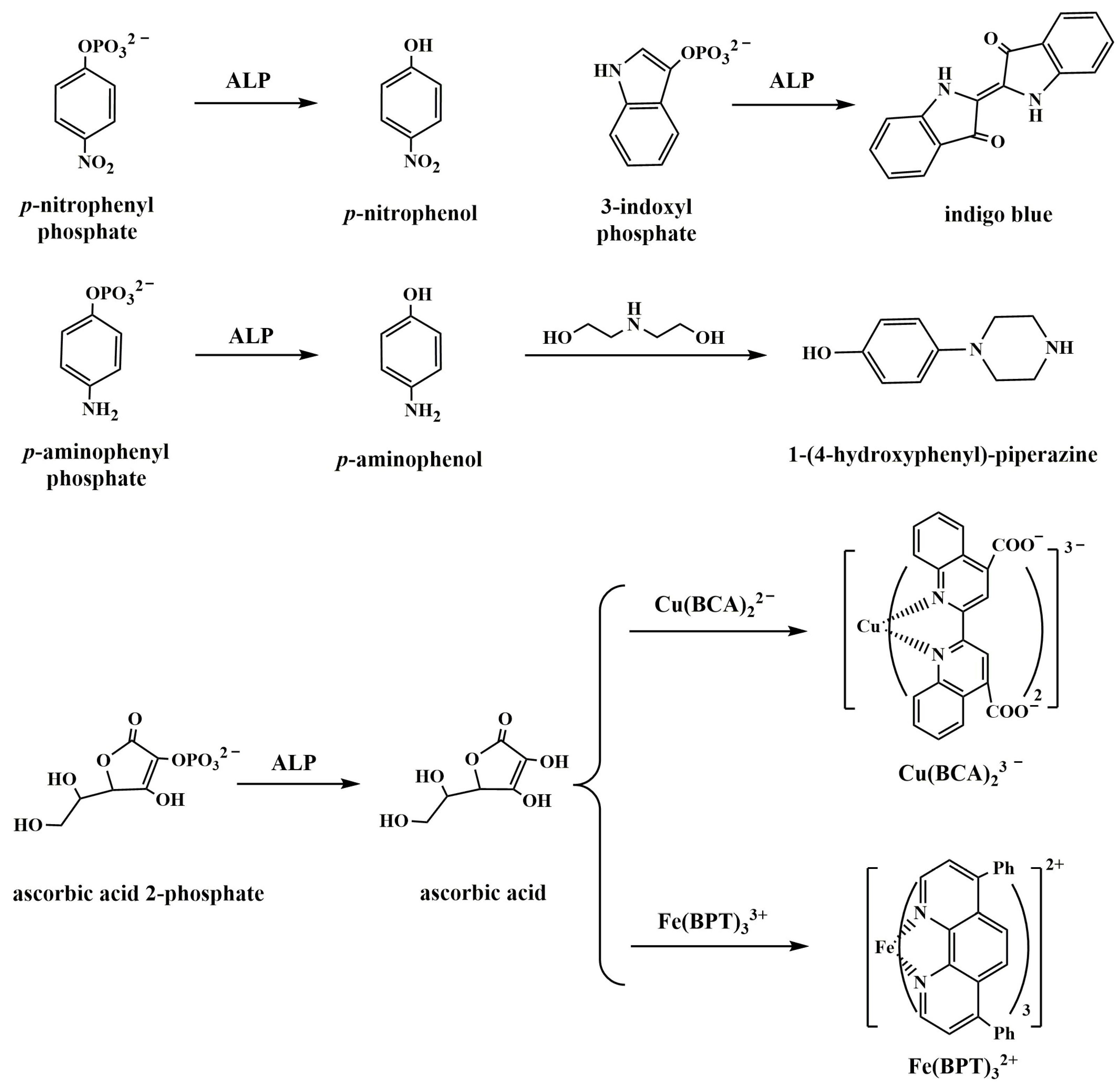 Molecules 28 06565 sch004