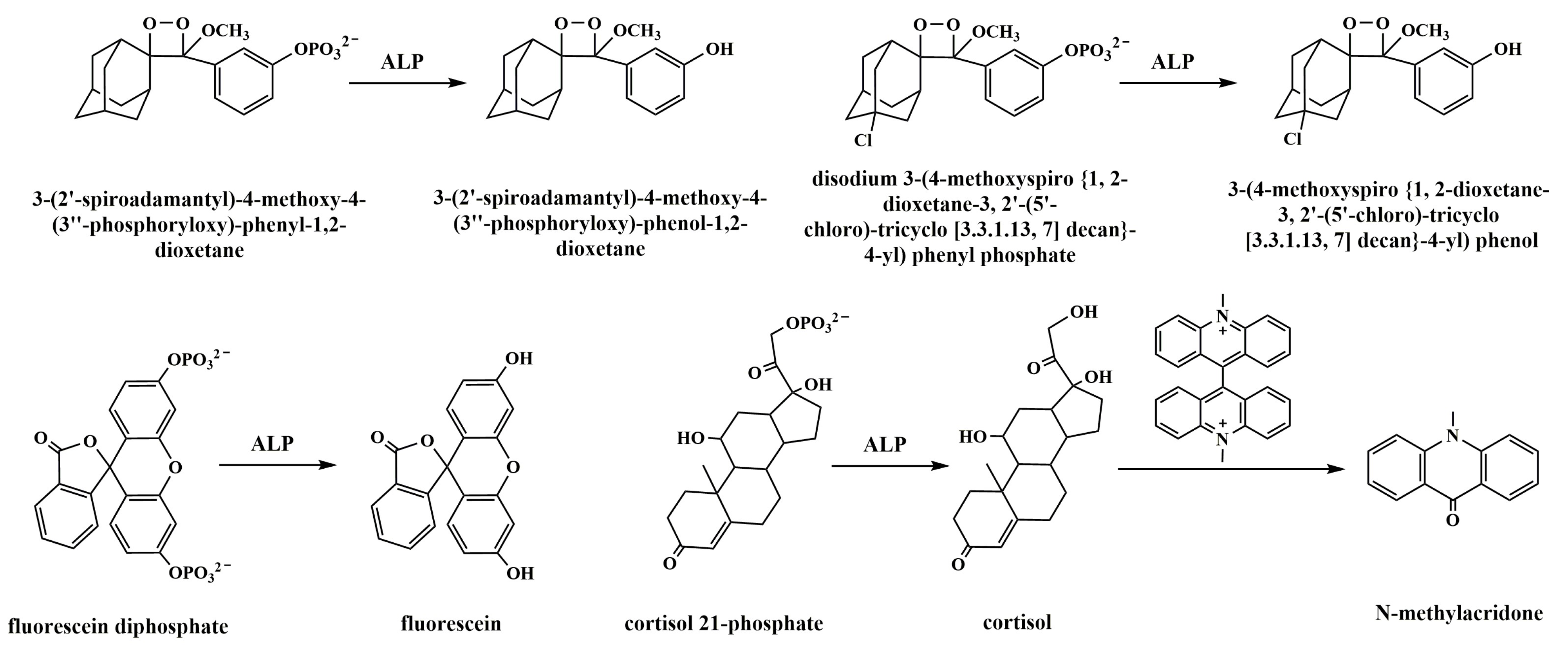 Molecules 28 06565 sch005