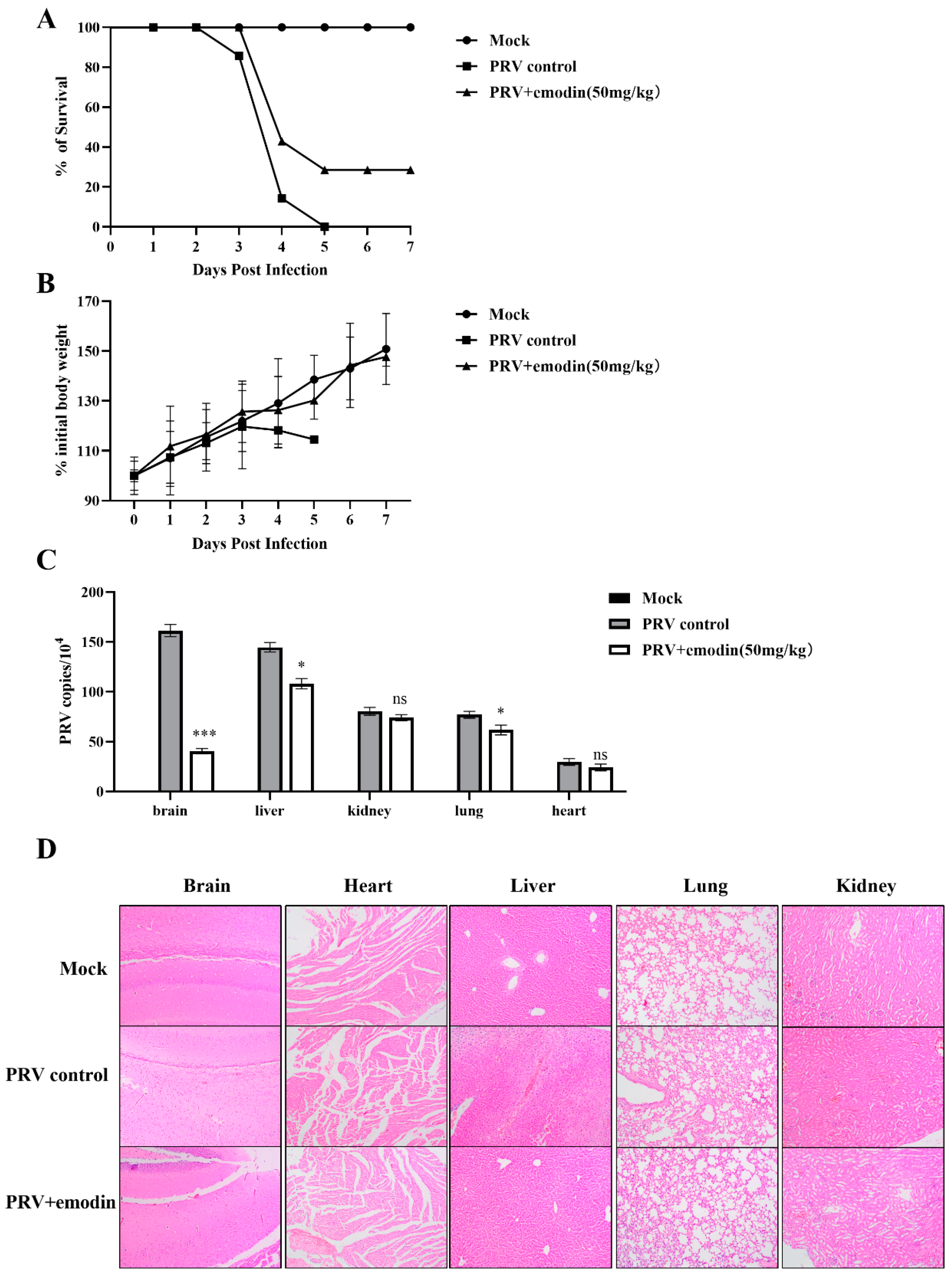 Molecules 28 06567 g006