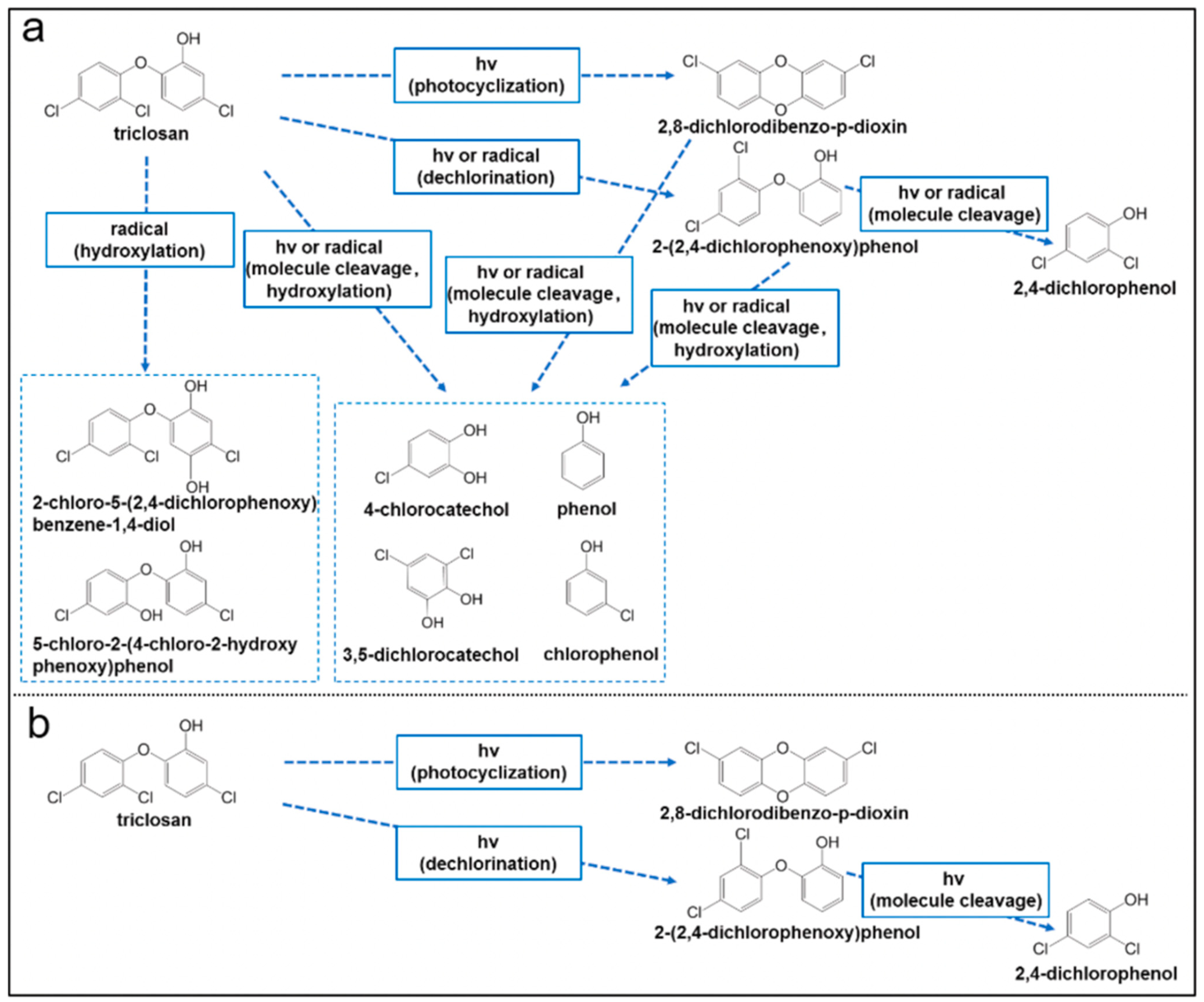 Molecules 28 06568 g006 Molecules 28 06568 g006