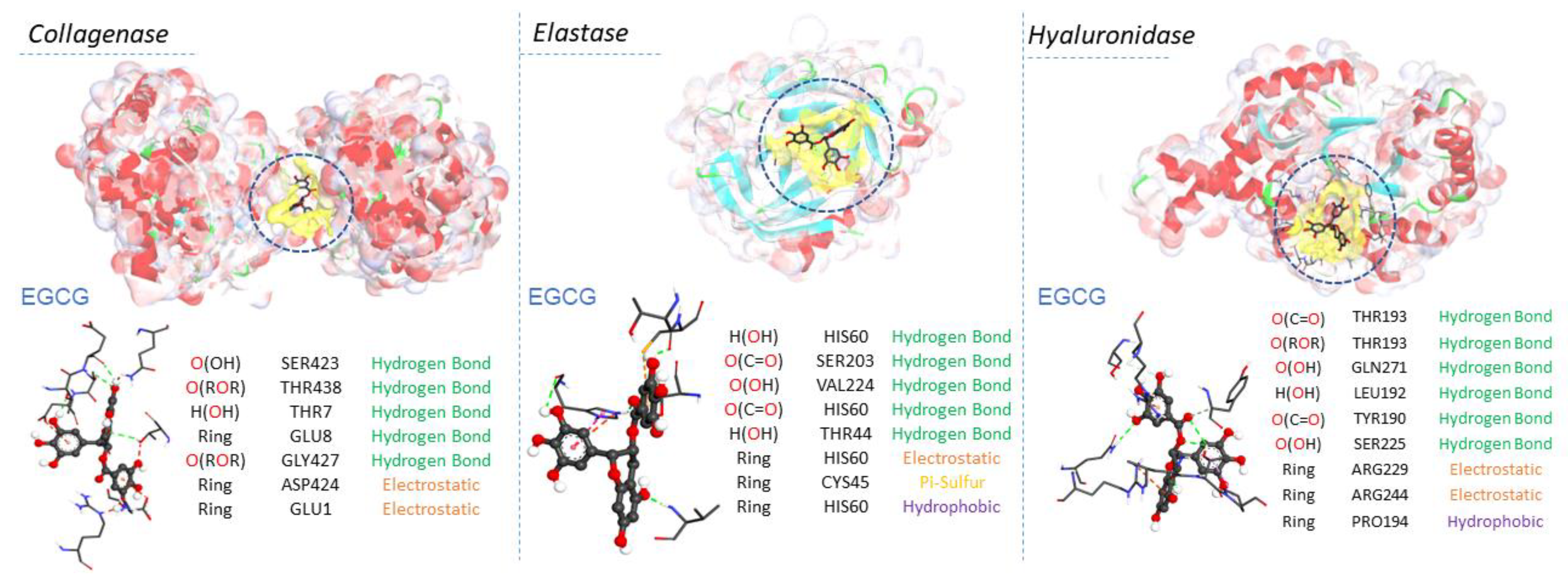 Molecules 28 06570 g009