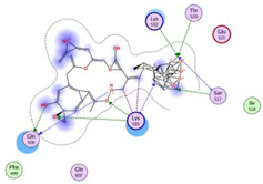 Molecules 28 06576 i006