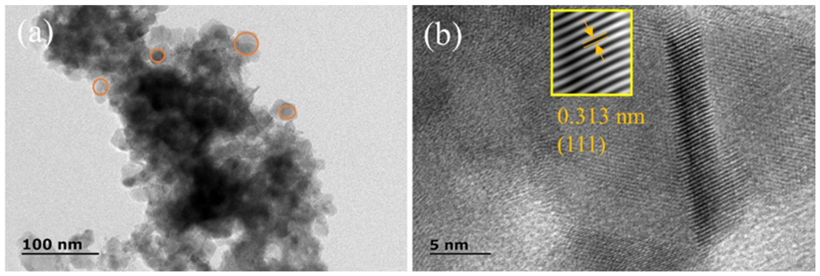 Molecules 28 06578 g004