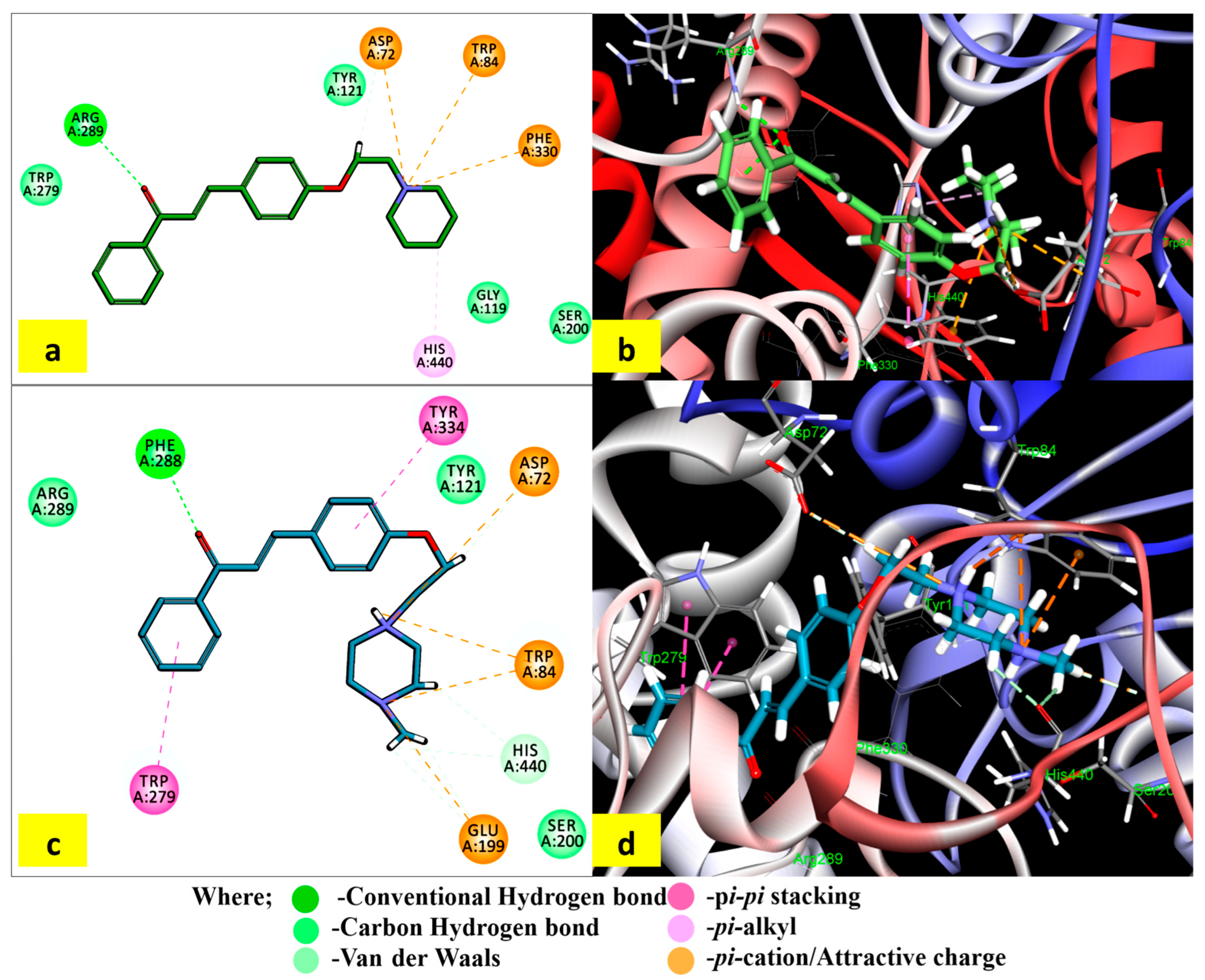 Molecules 28 06579 g003