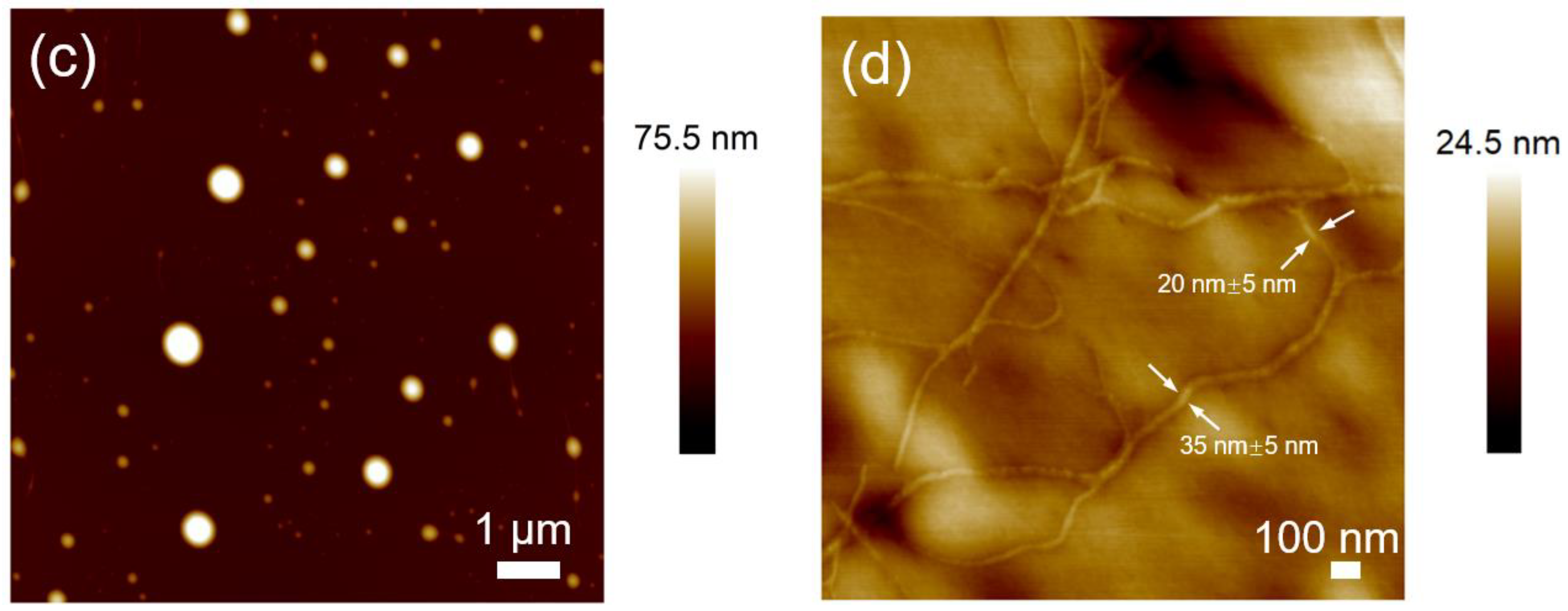 Molecules 28 06580 g001b
