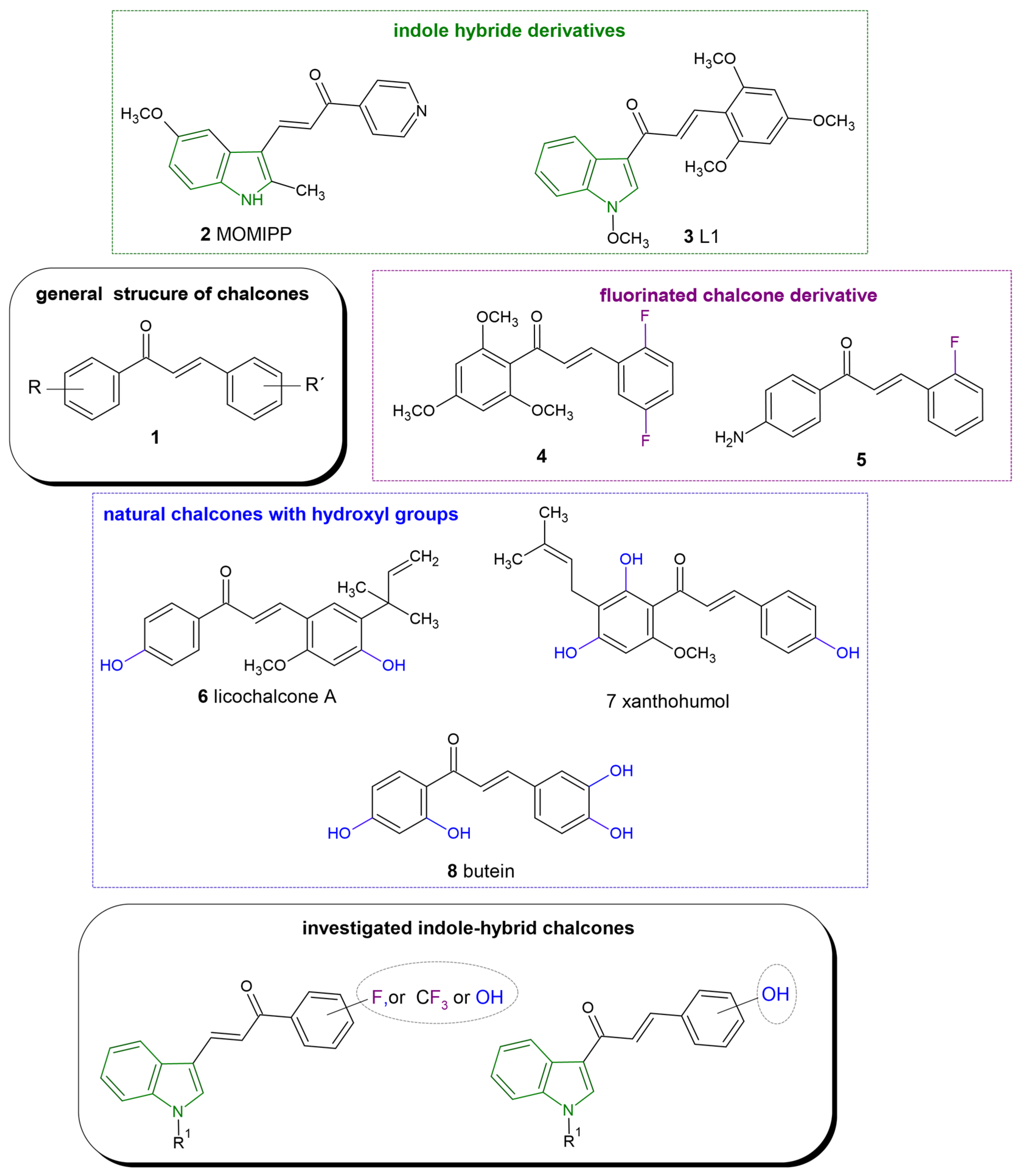 Molecules 28 06583 g001