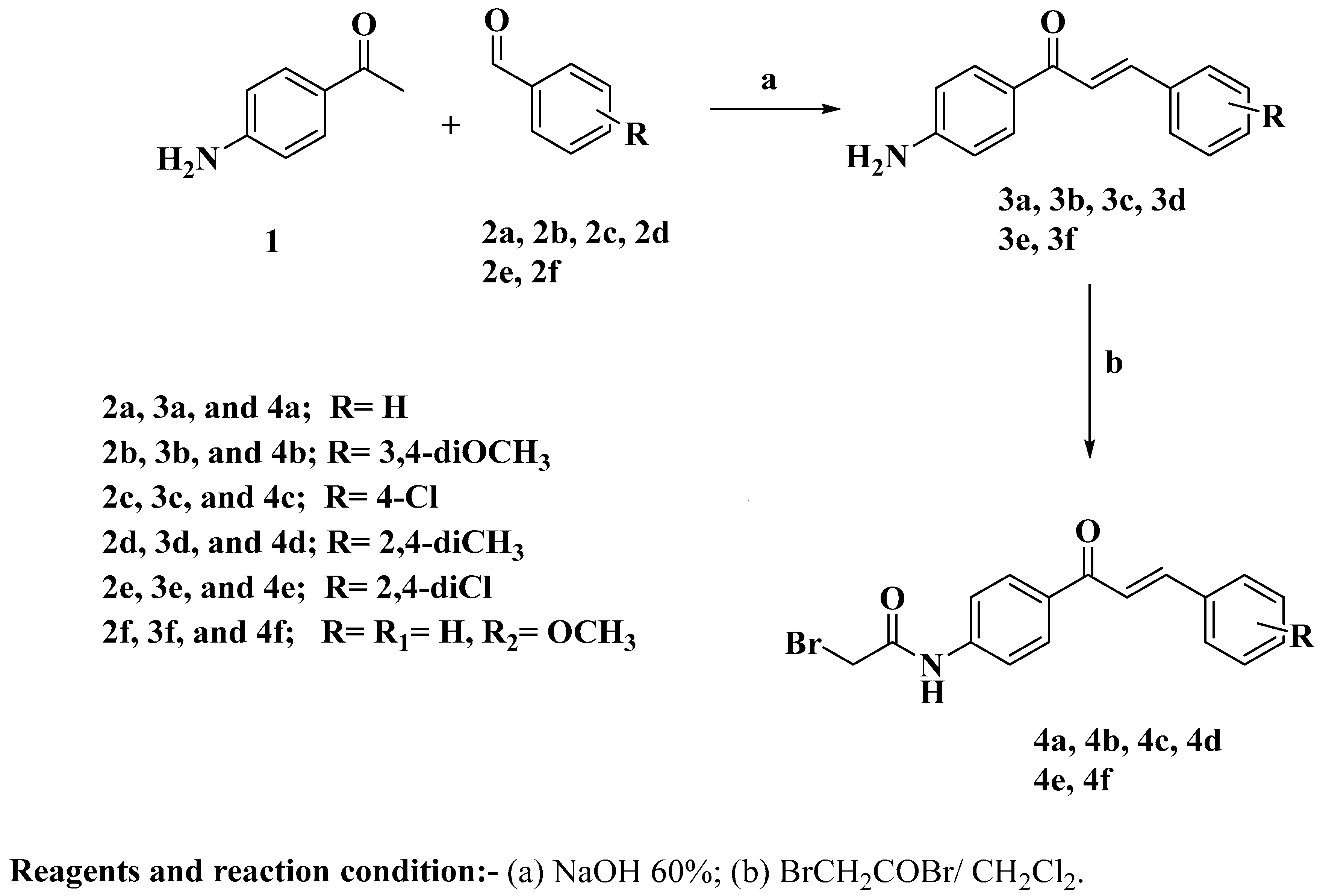 Molecules 28 06586 sch001