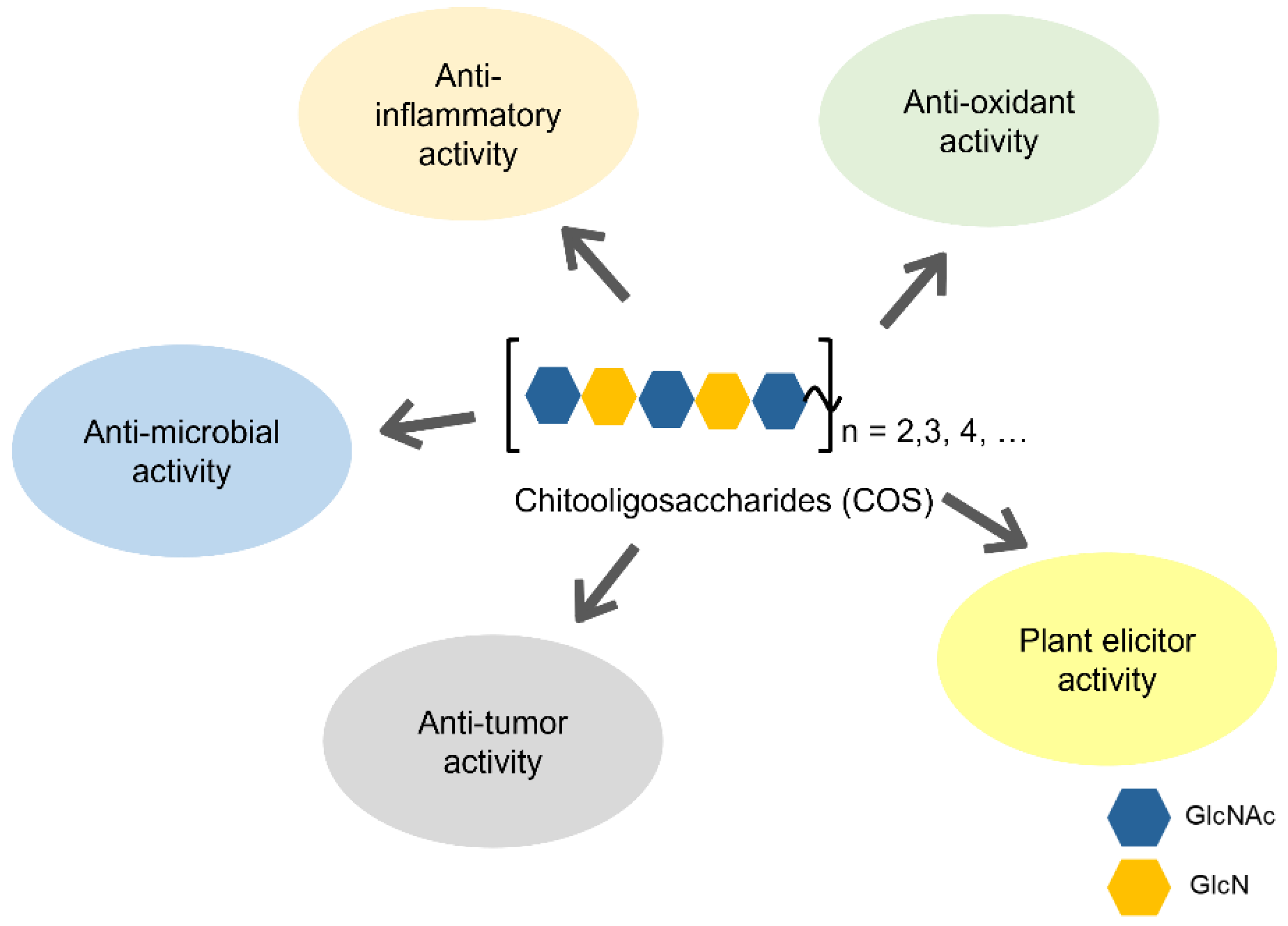 Molecules 28 06591 g002