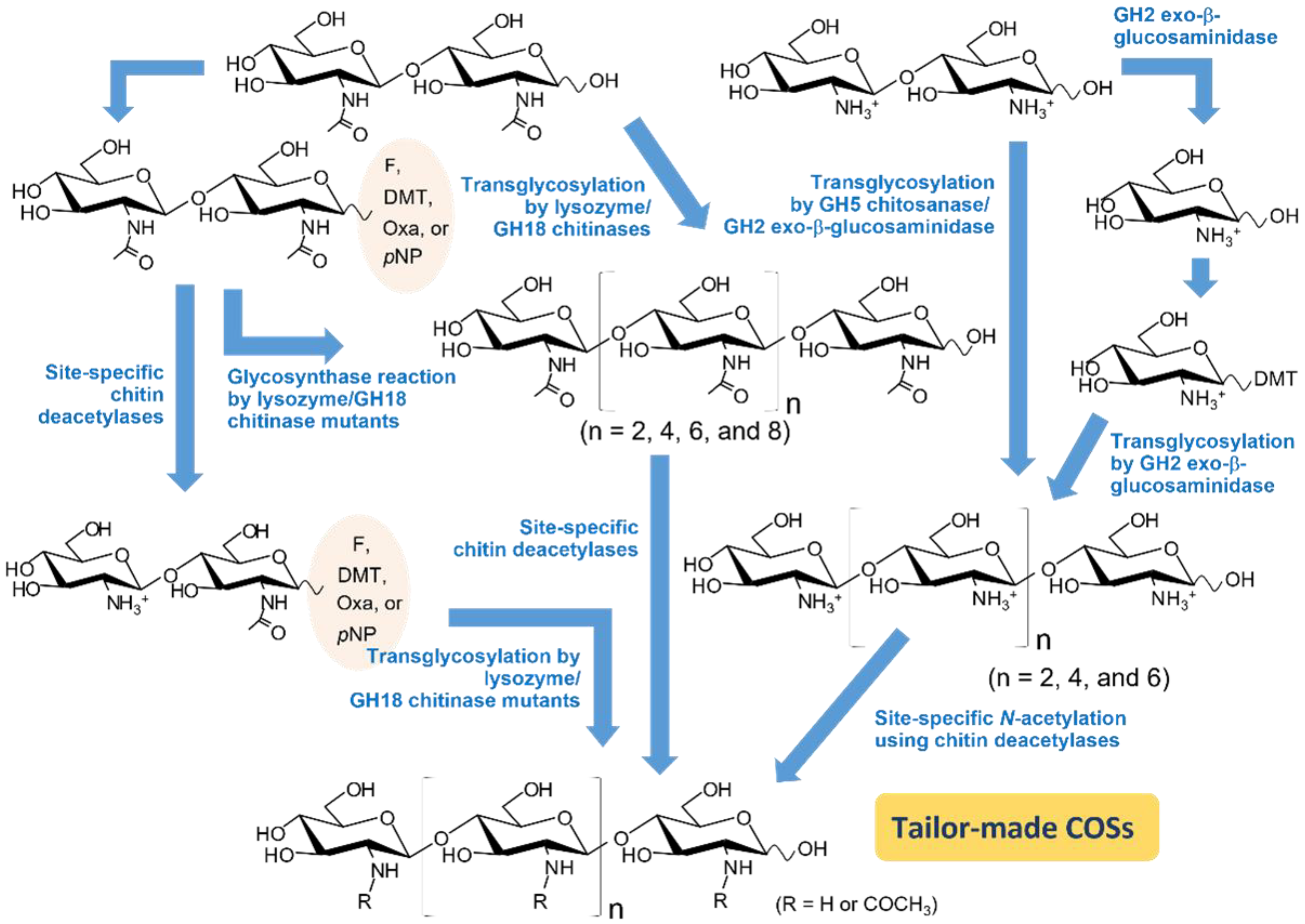 Molecules 28 06591 g004
