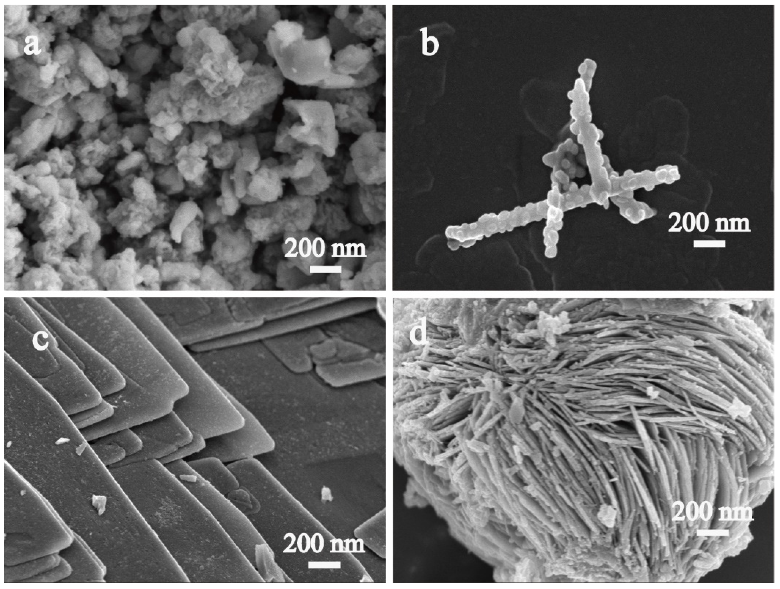Molecules 28 06595 g002