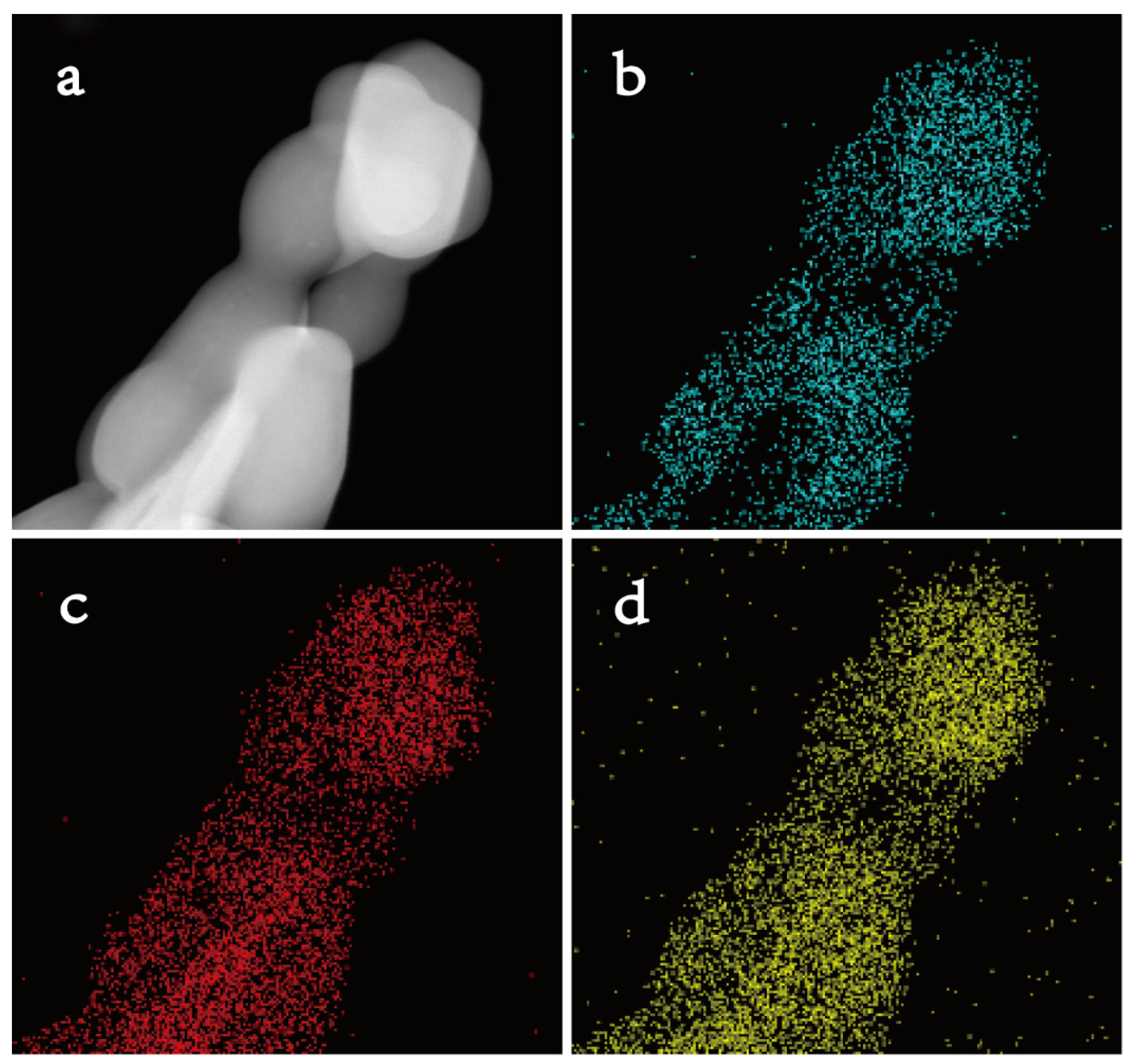Molecules 28 06595 g004