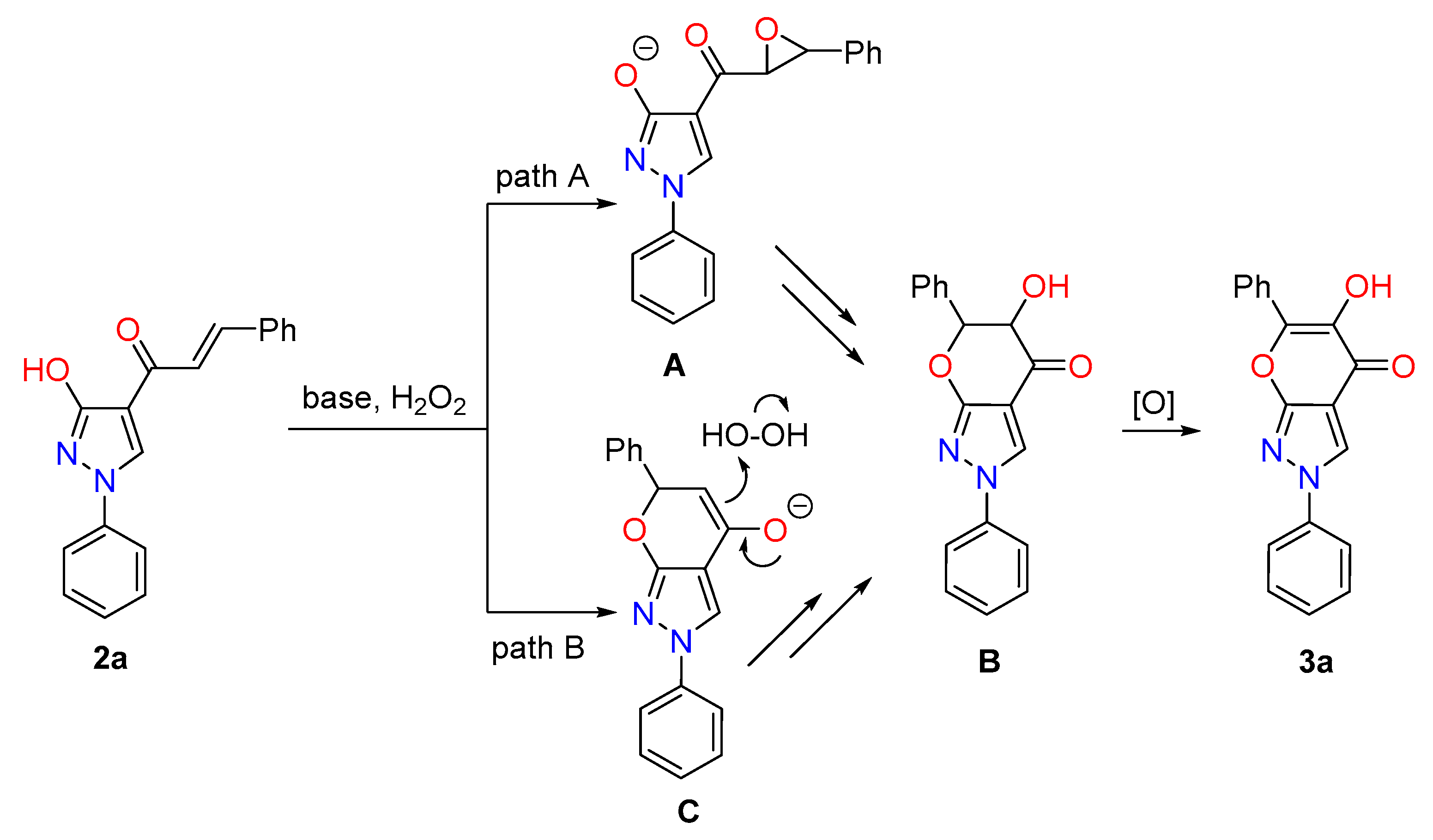 Molecules 28 06599 g002