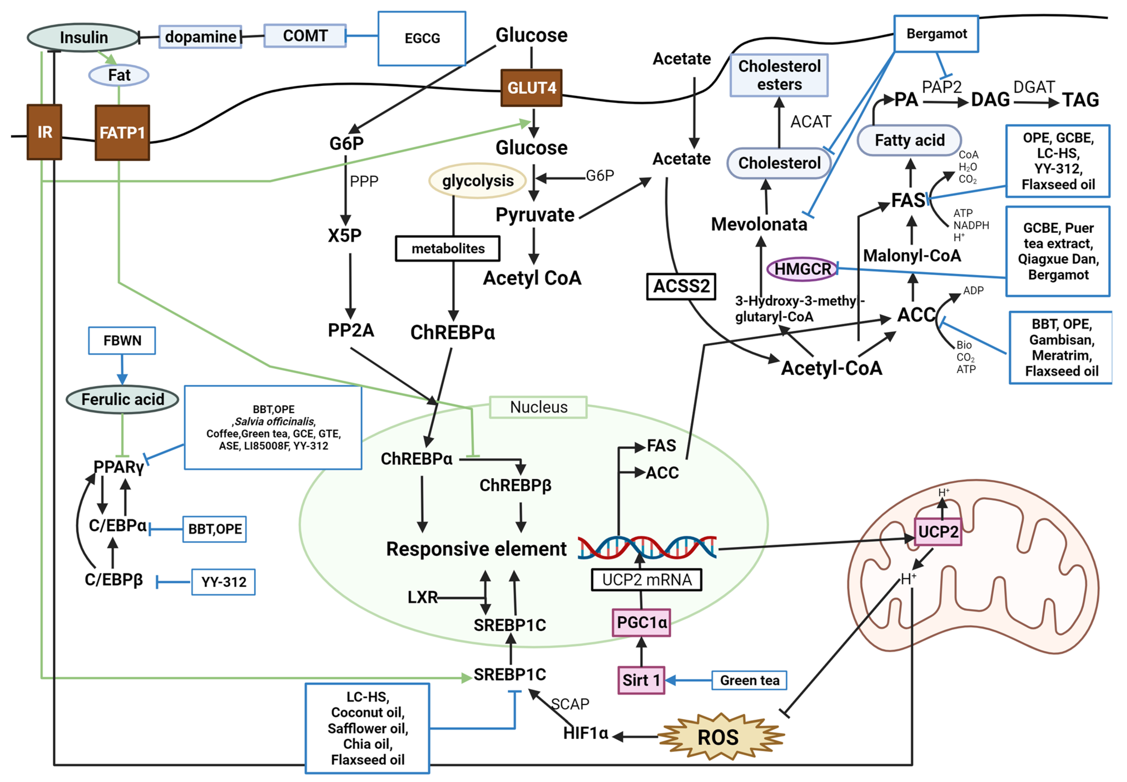 Molecules 28 06604 g002