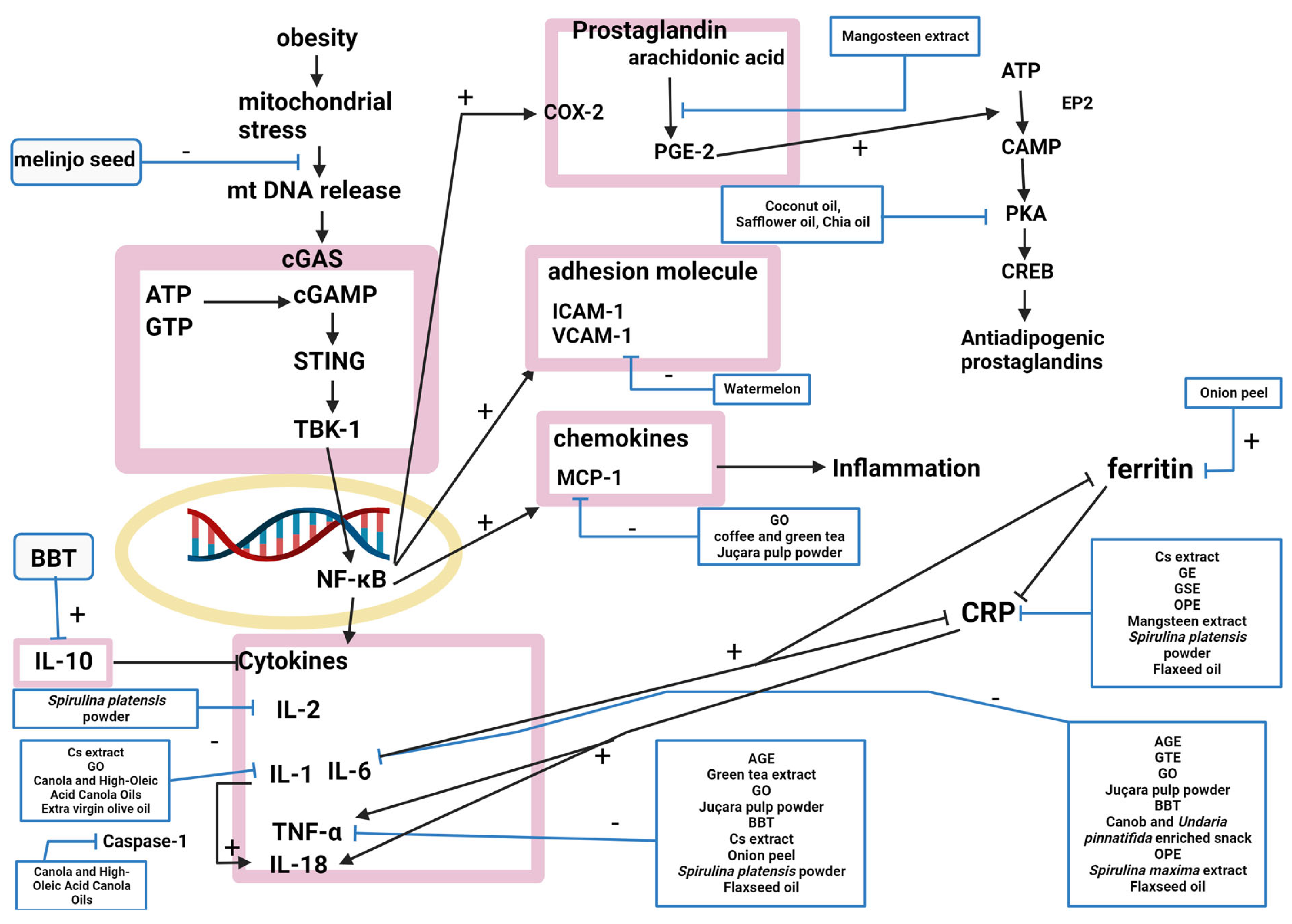 Molecules 28 06604 g003