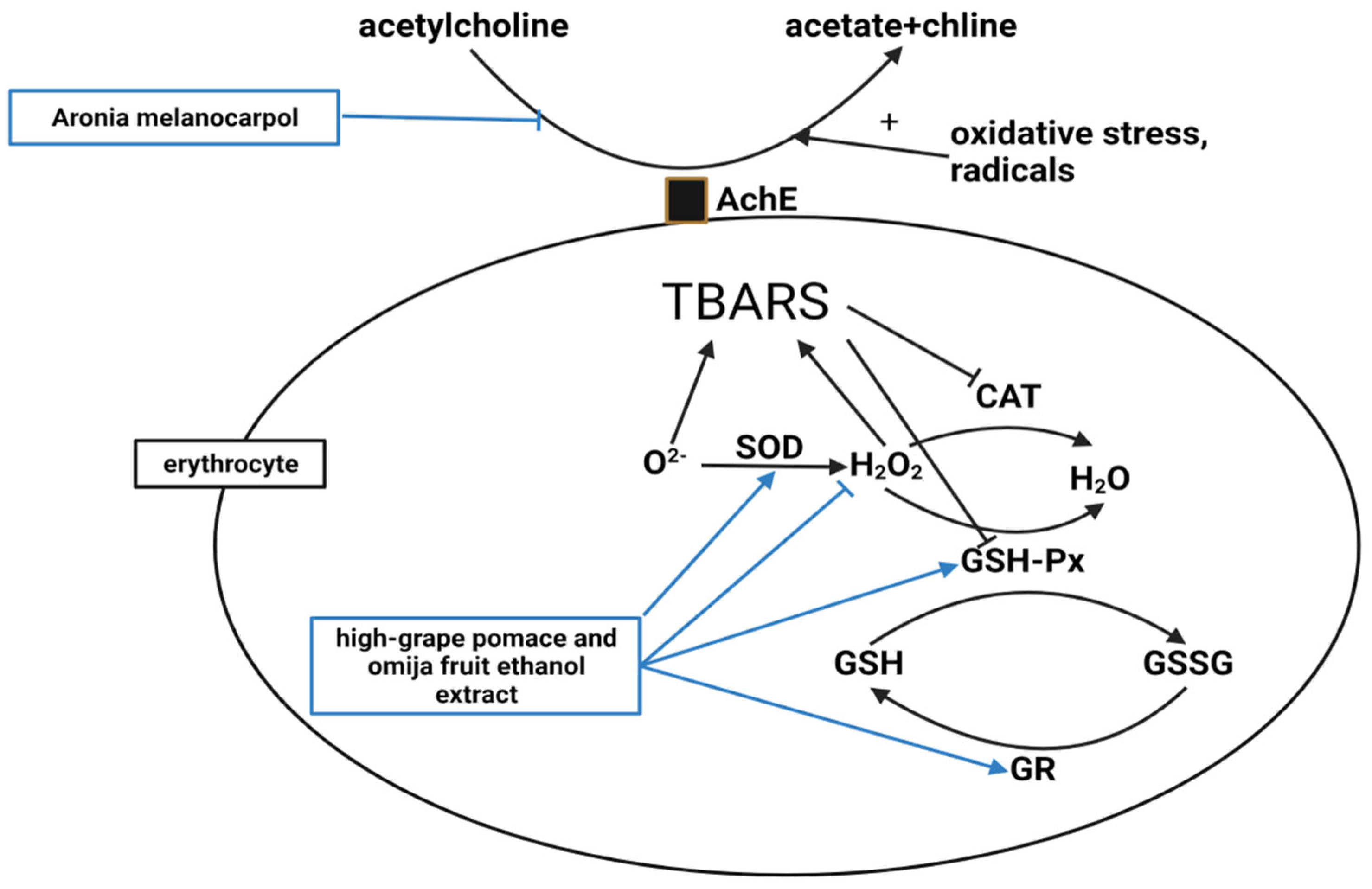 Molecules 28 06604 g004
