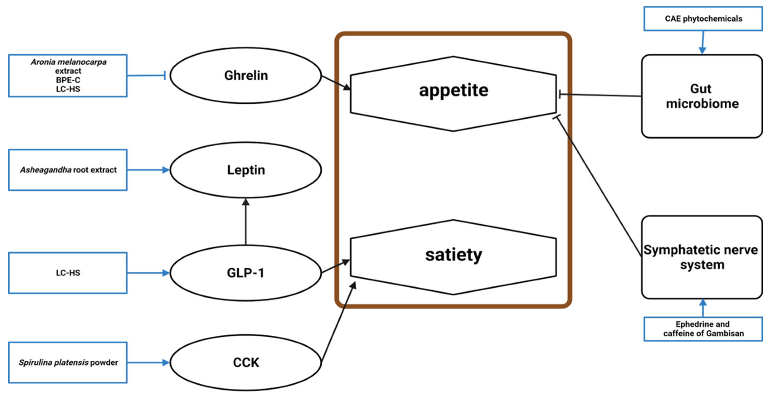 Molecules 28 06604 g005