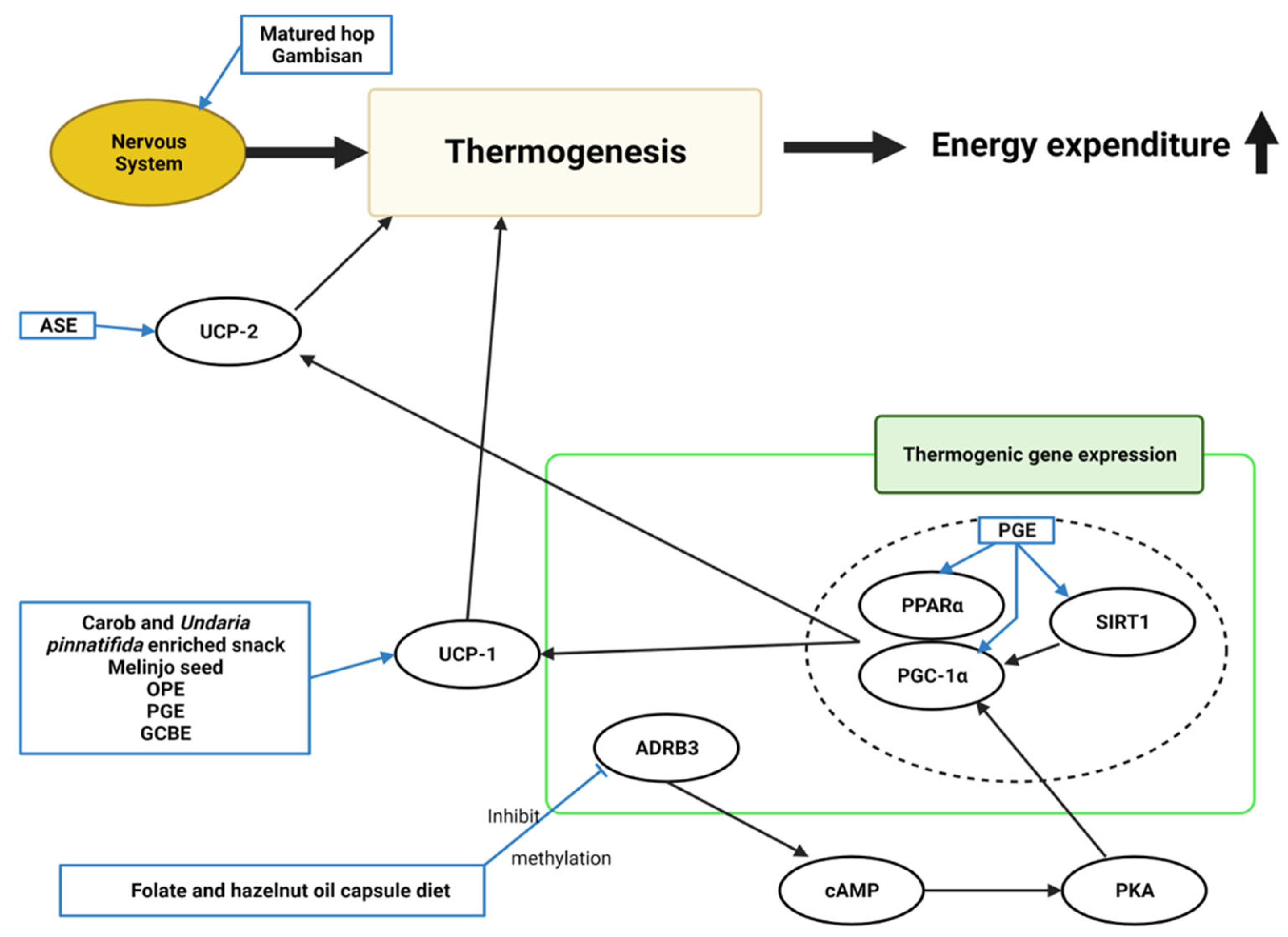 Molecules 28 06604 g006