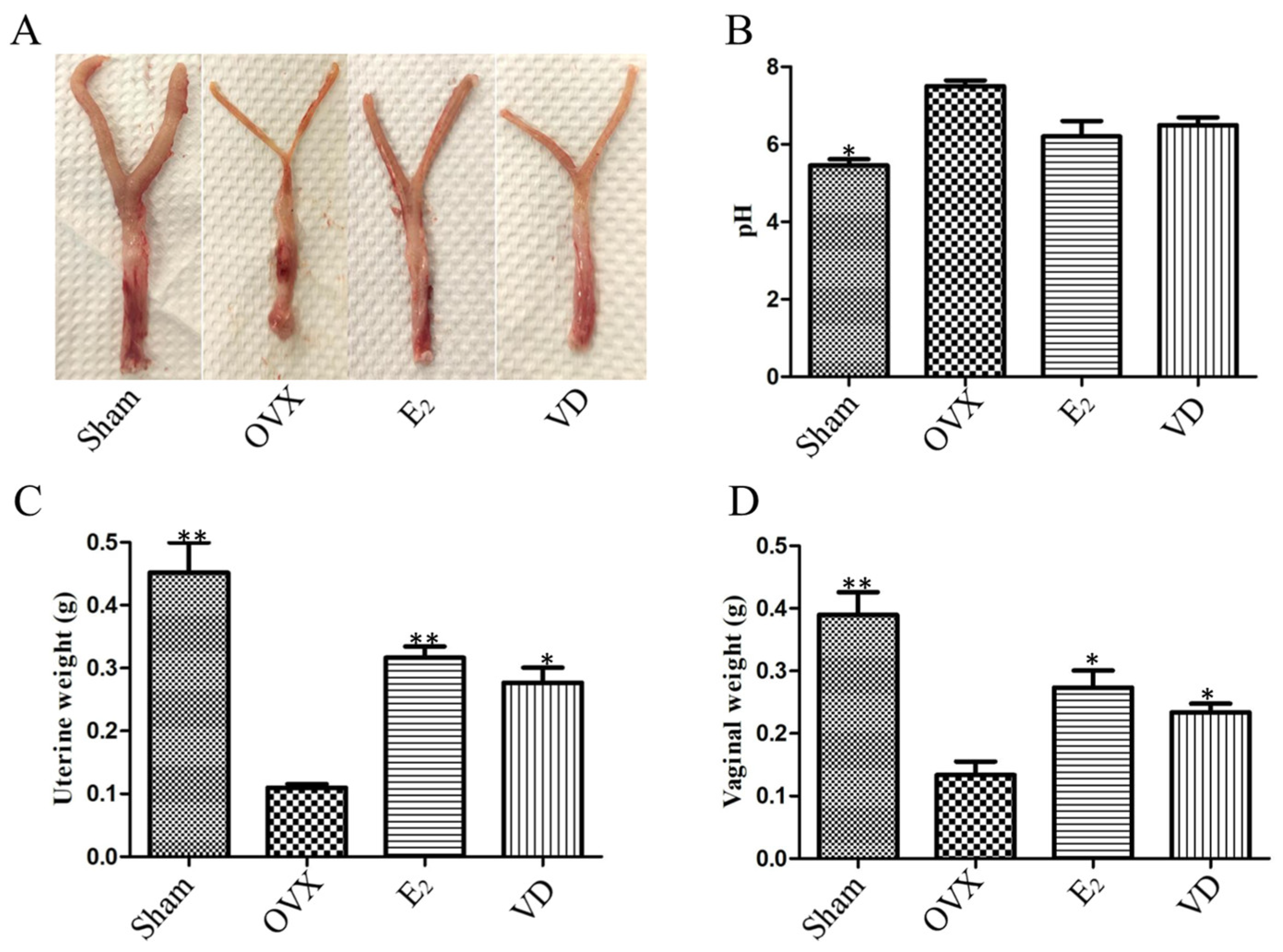 Molecules 28 06605 g001