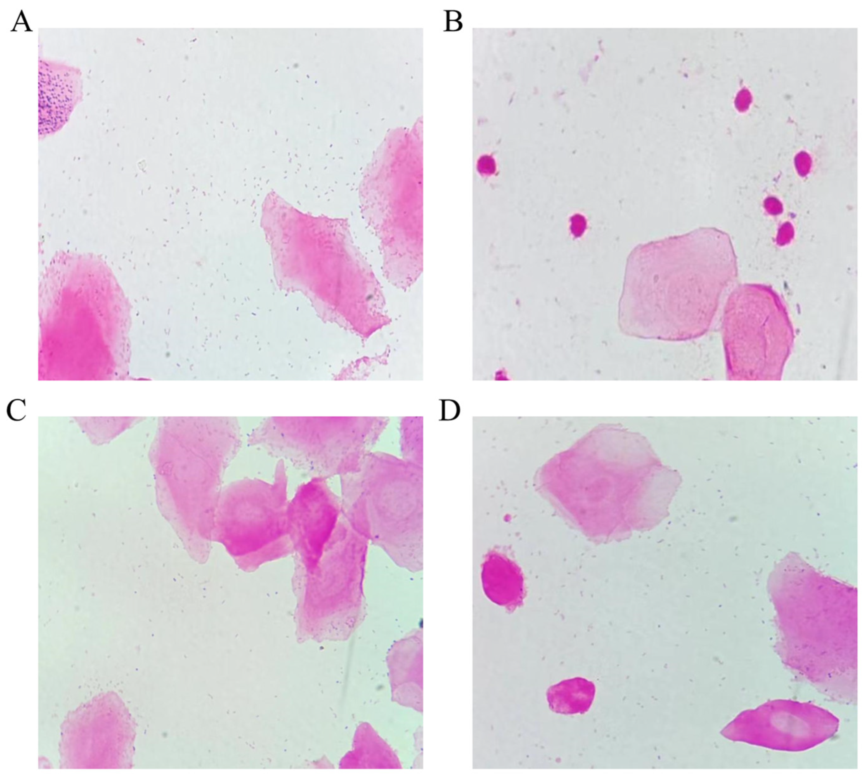 Molecules 28 06605 g005