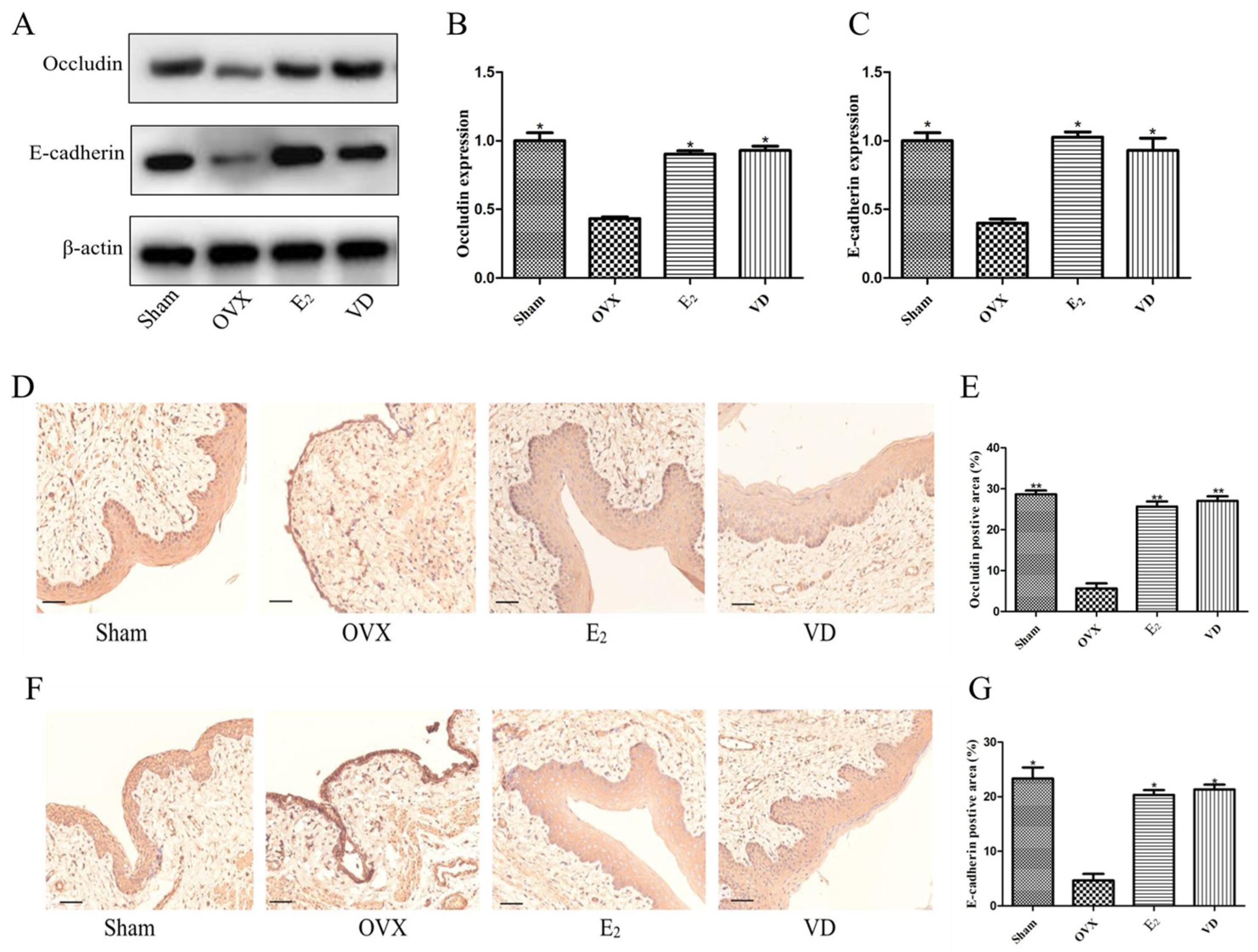 Molecules 28 06605 g007