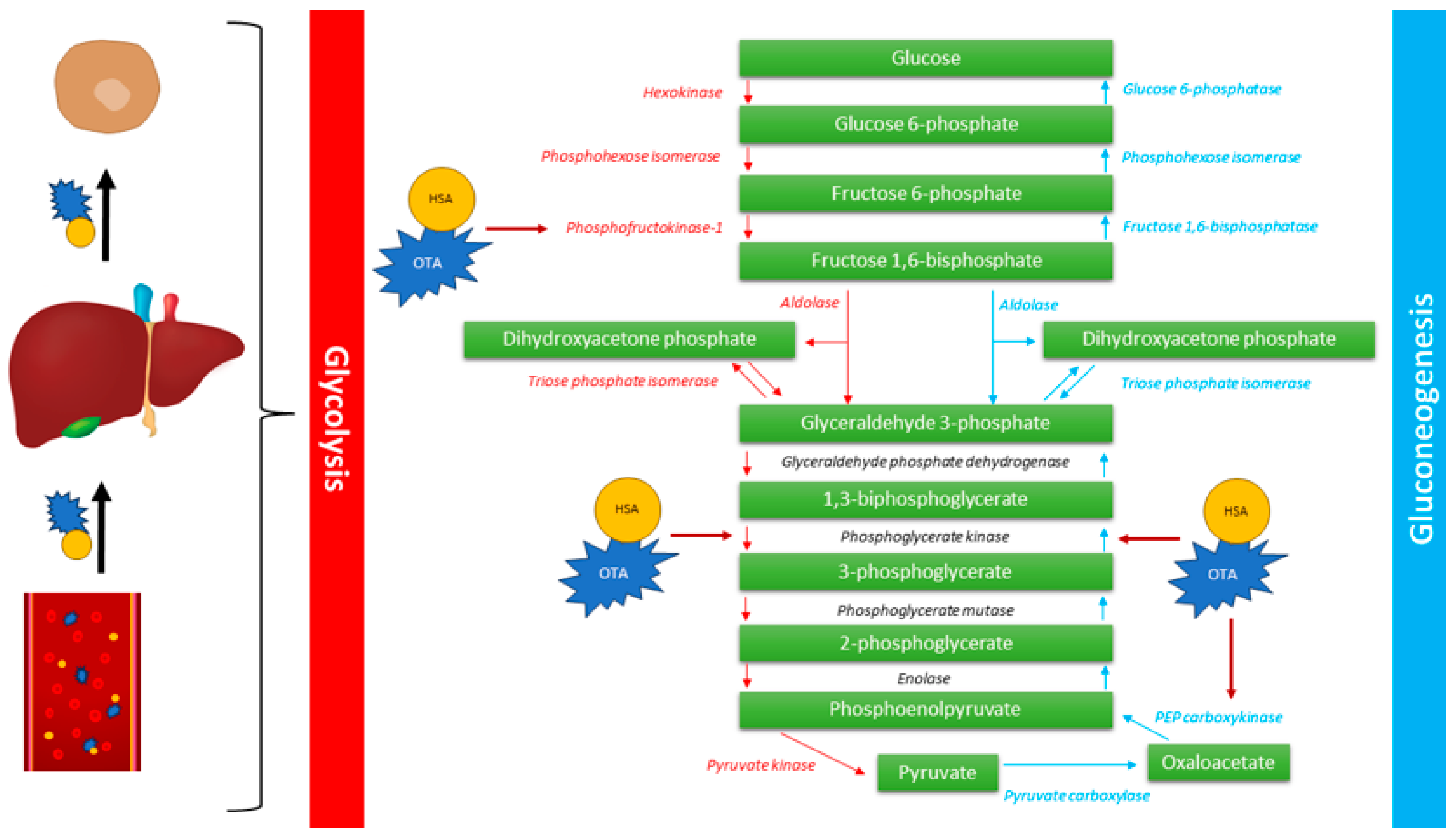 Molecules 28 06617 g002