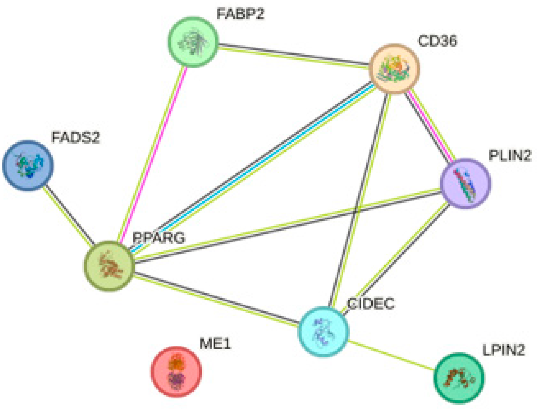 Molecules 28 06617 g004