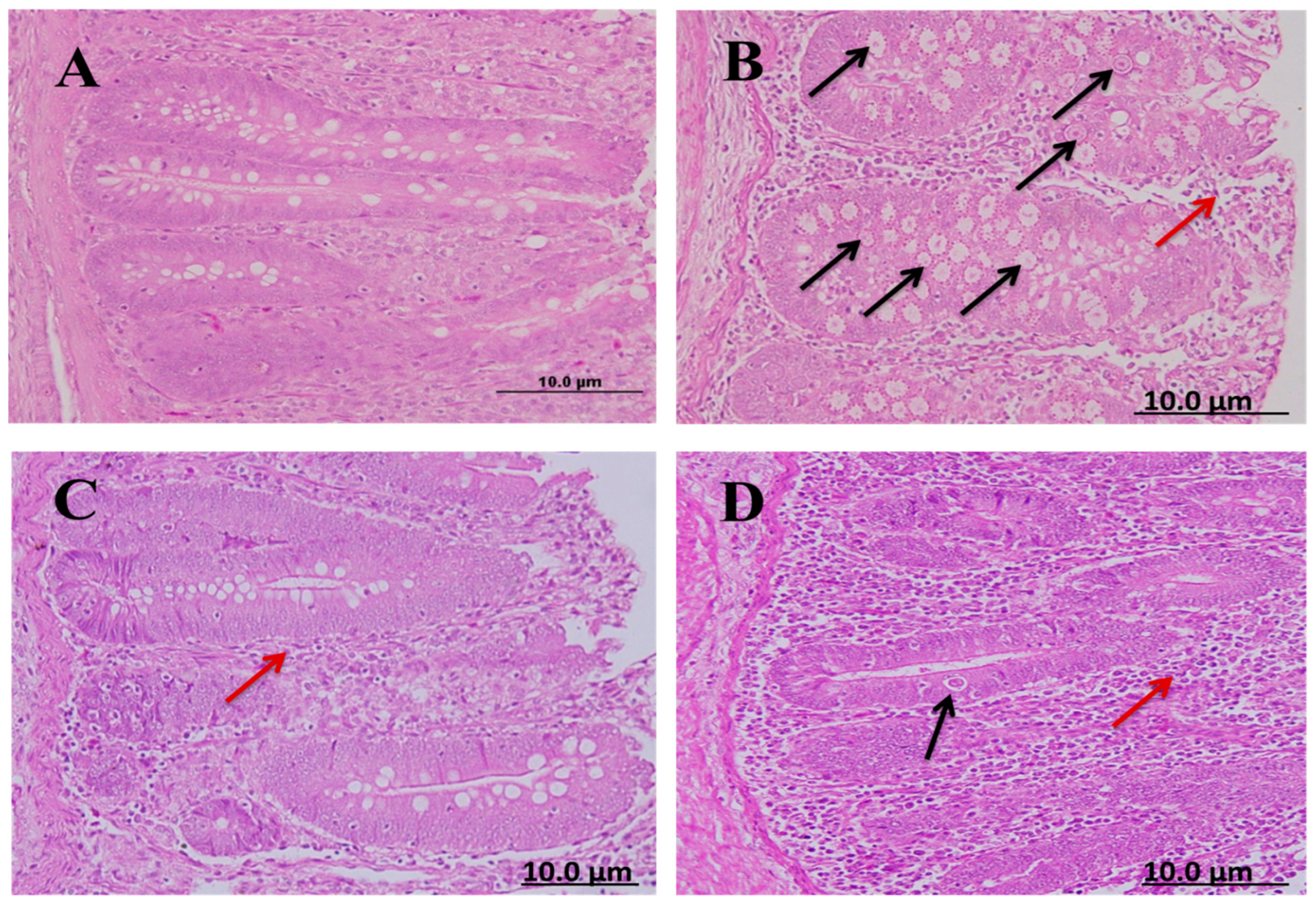 Molecules 28 06621 g004