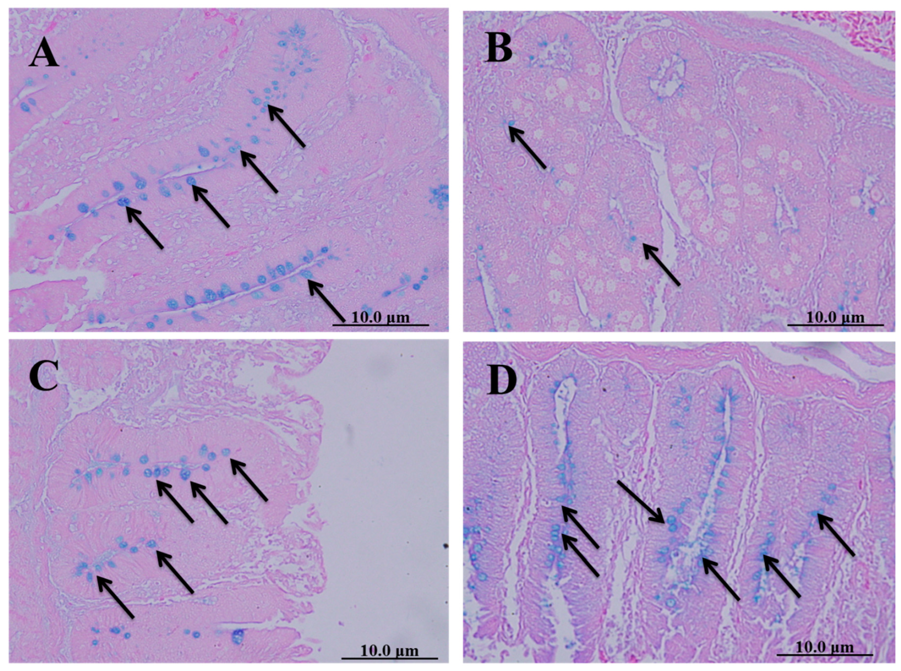 Molecules 28 06621 g005