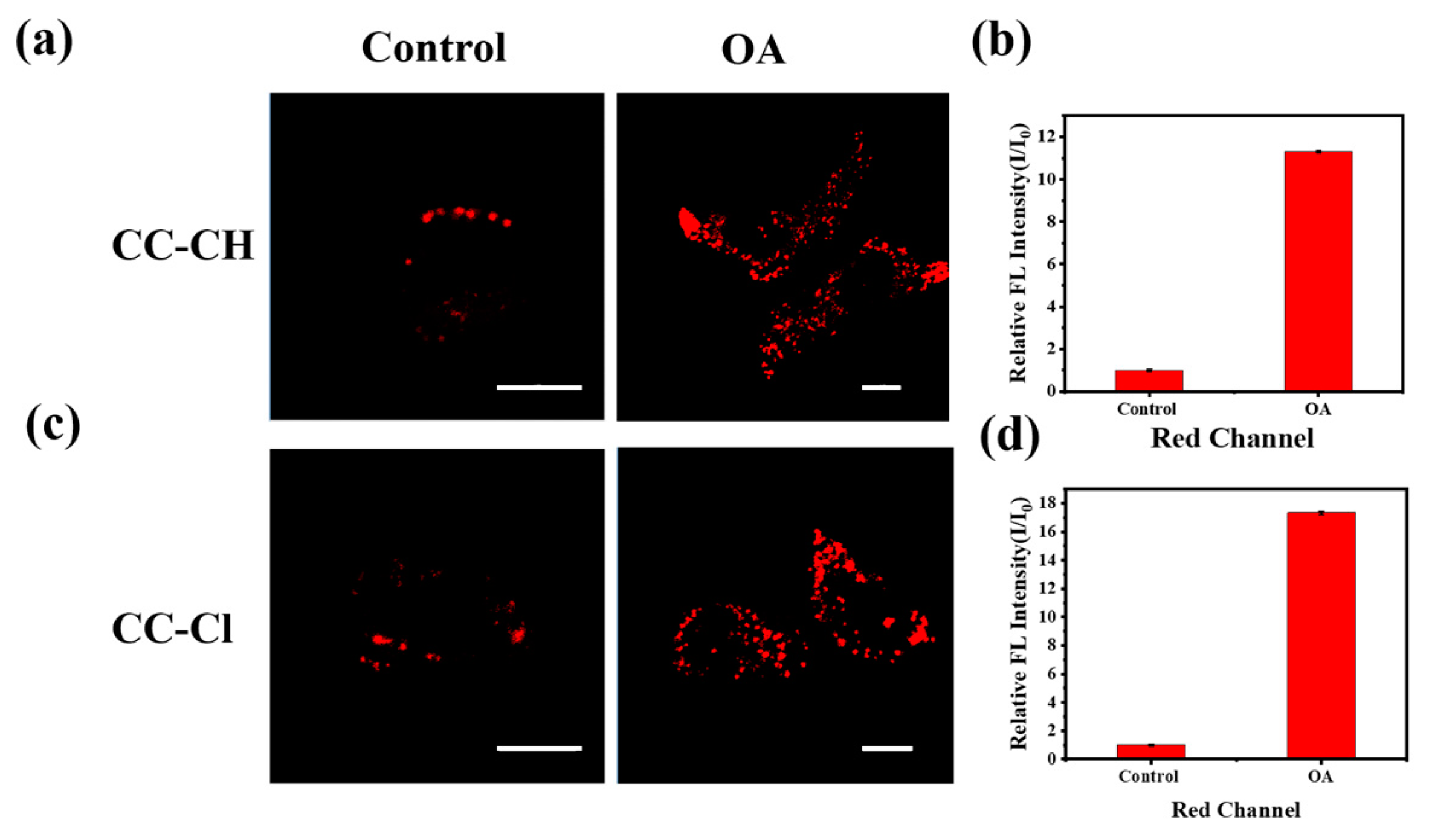 Molecules 28 06626 g005