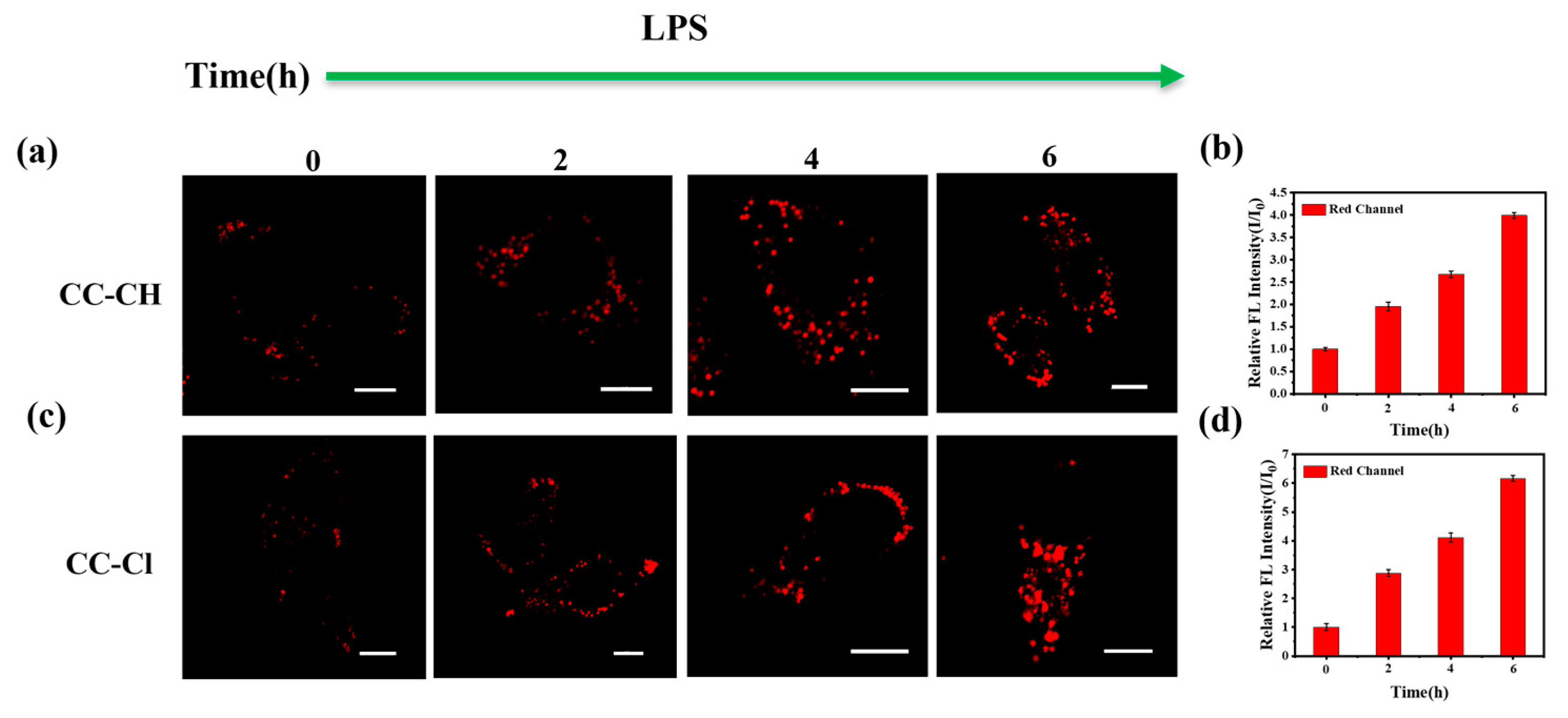 Molecules 28 06626 g006