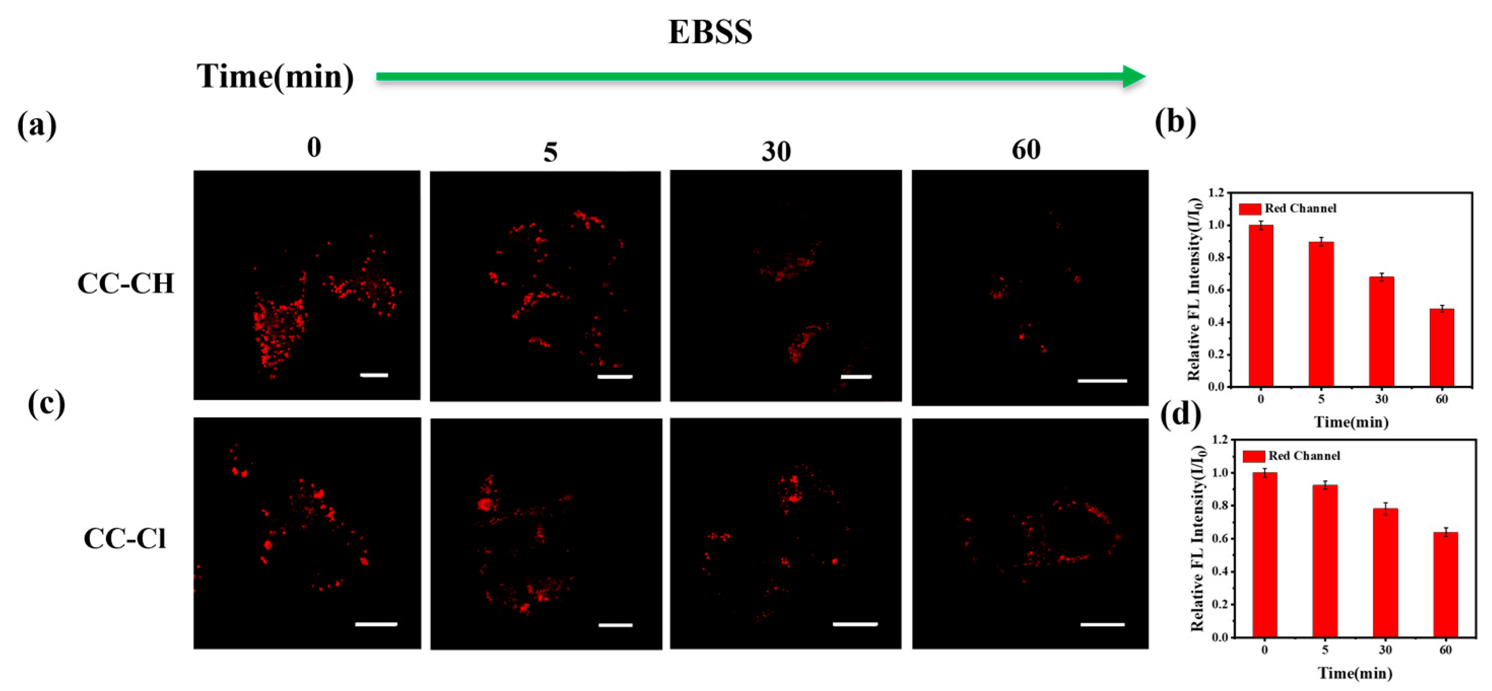 Molecules 28 06626 g007
