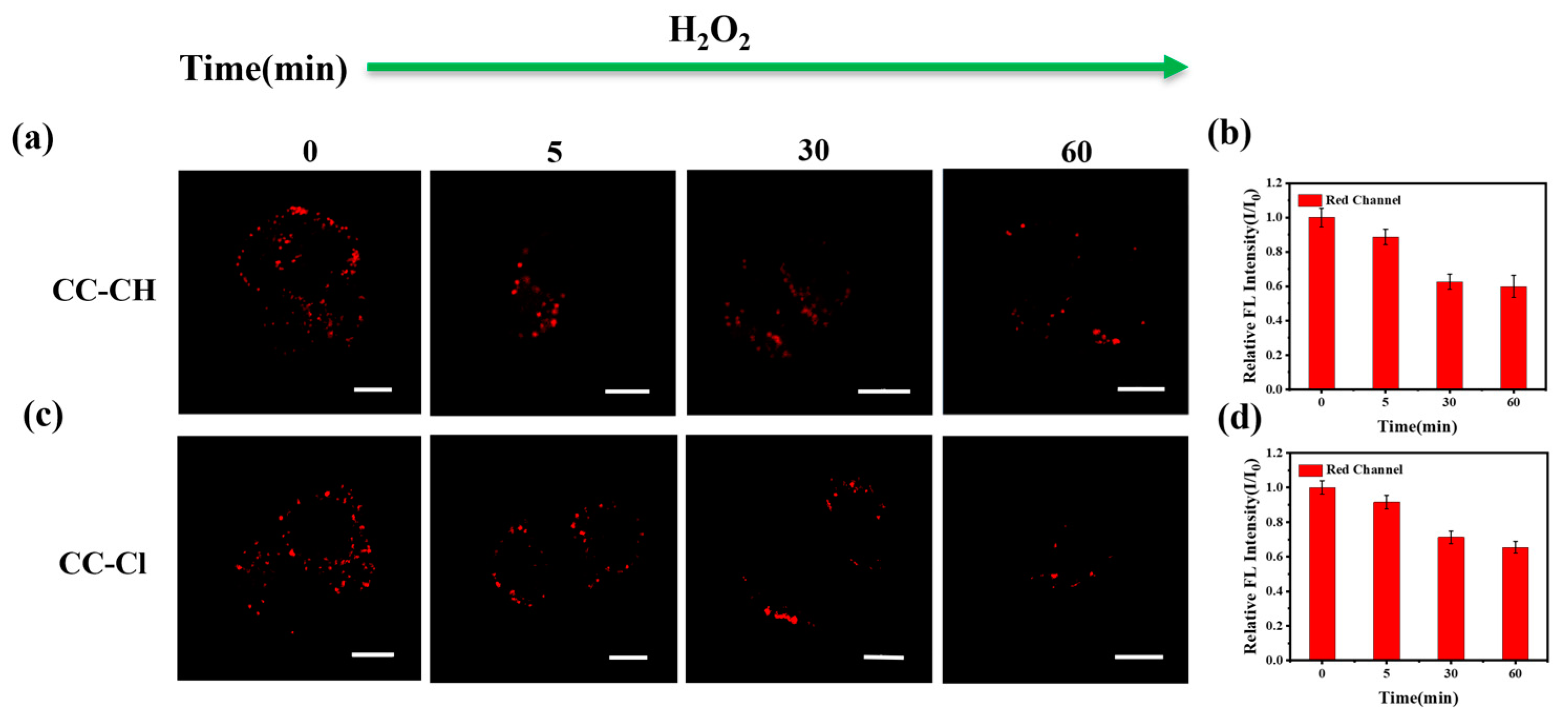 Molecules 28 06626 g008